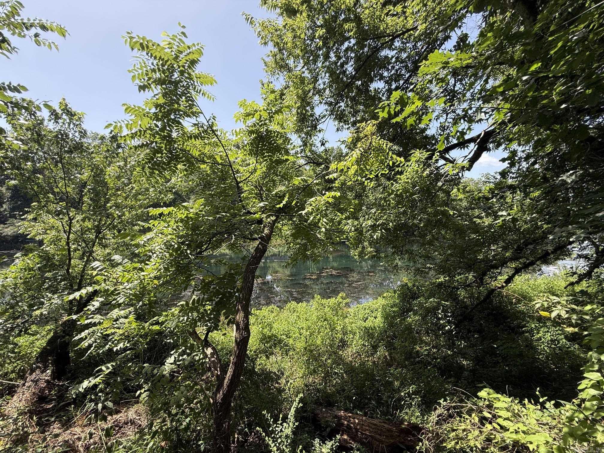 Lot 41 Up River Property Photo 1