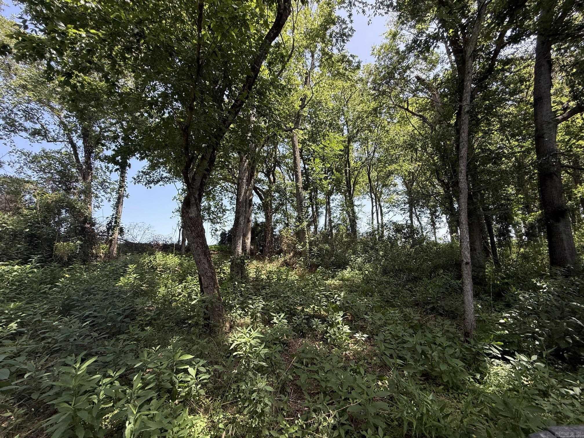 Lot 41 Up River Property Photo 2