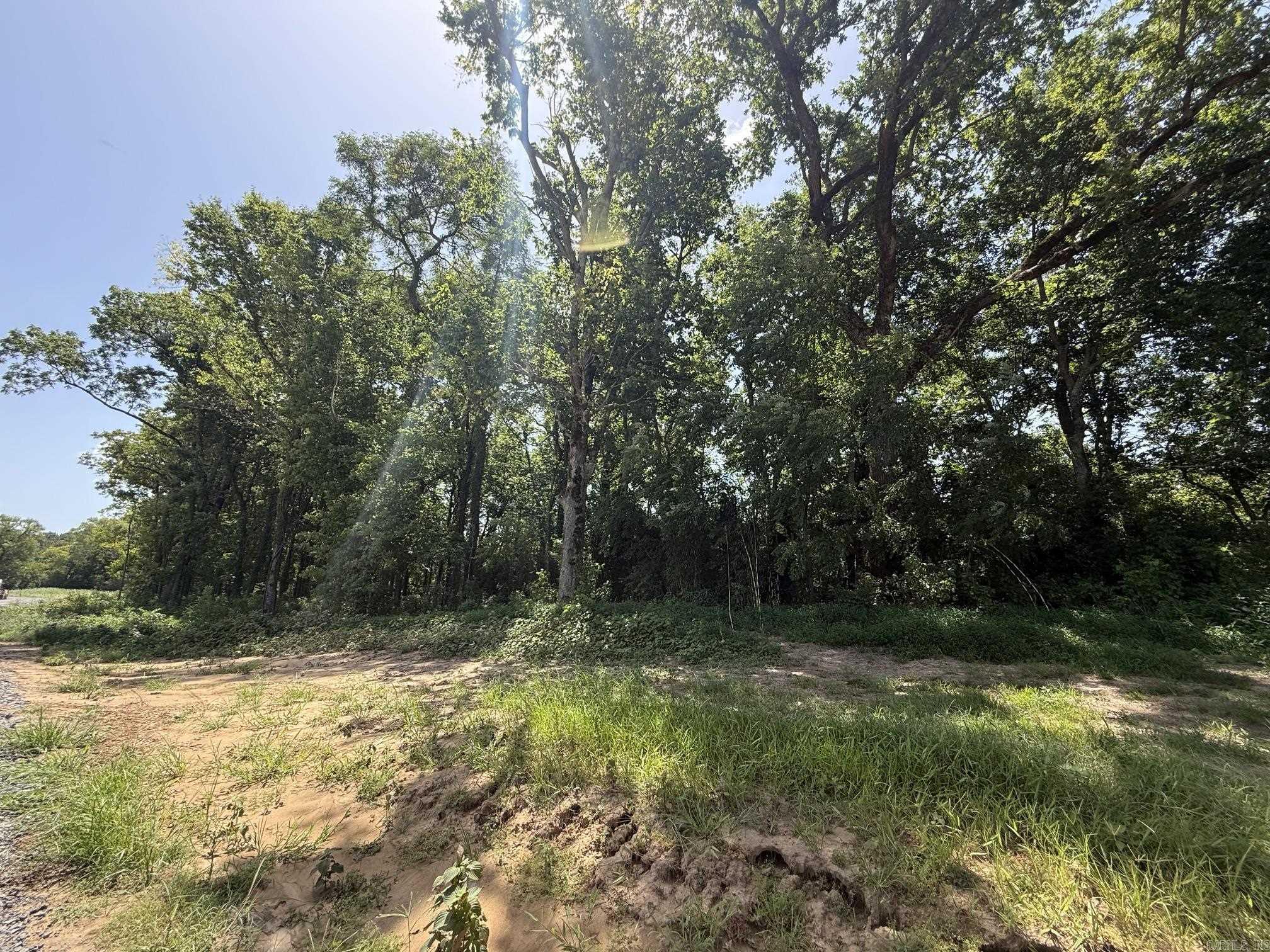Lot 41 Up River Property Photo 3