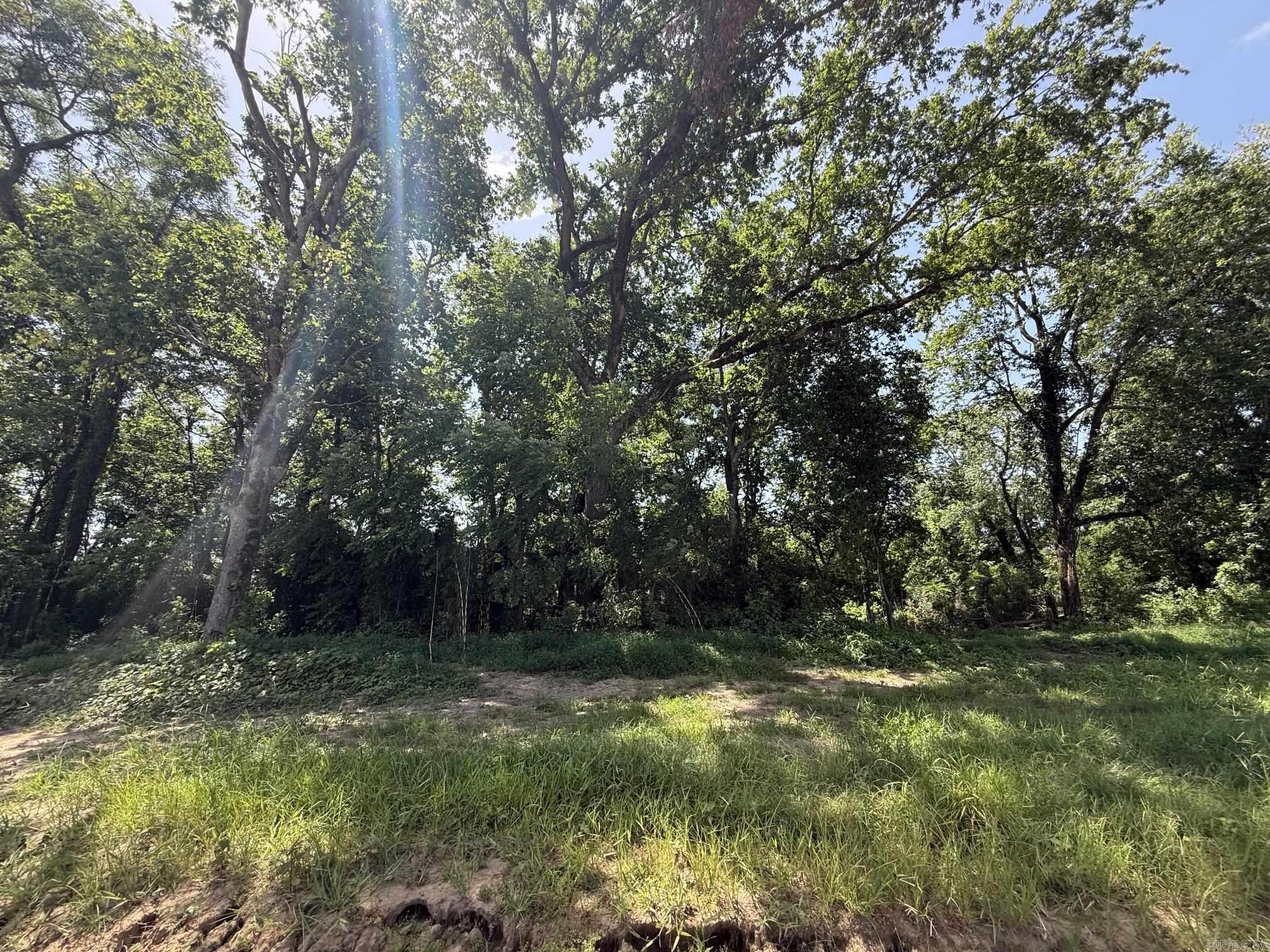 Lot 41 Up River Property Photo 4