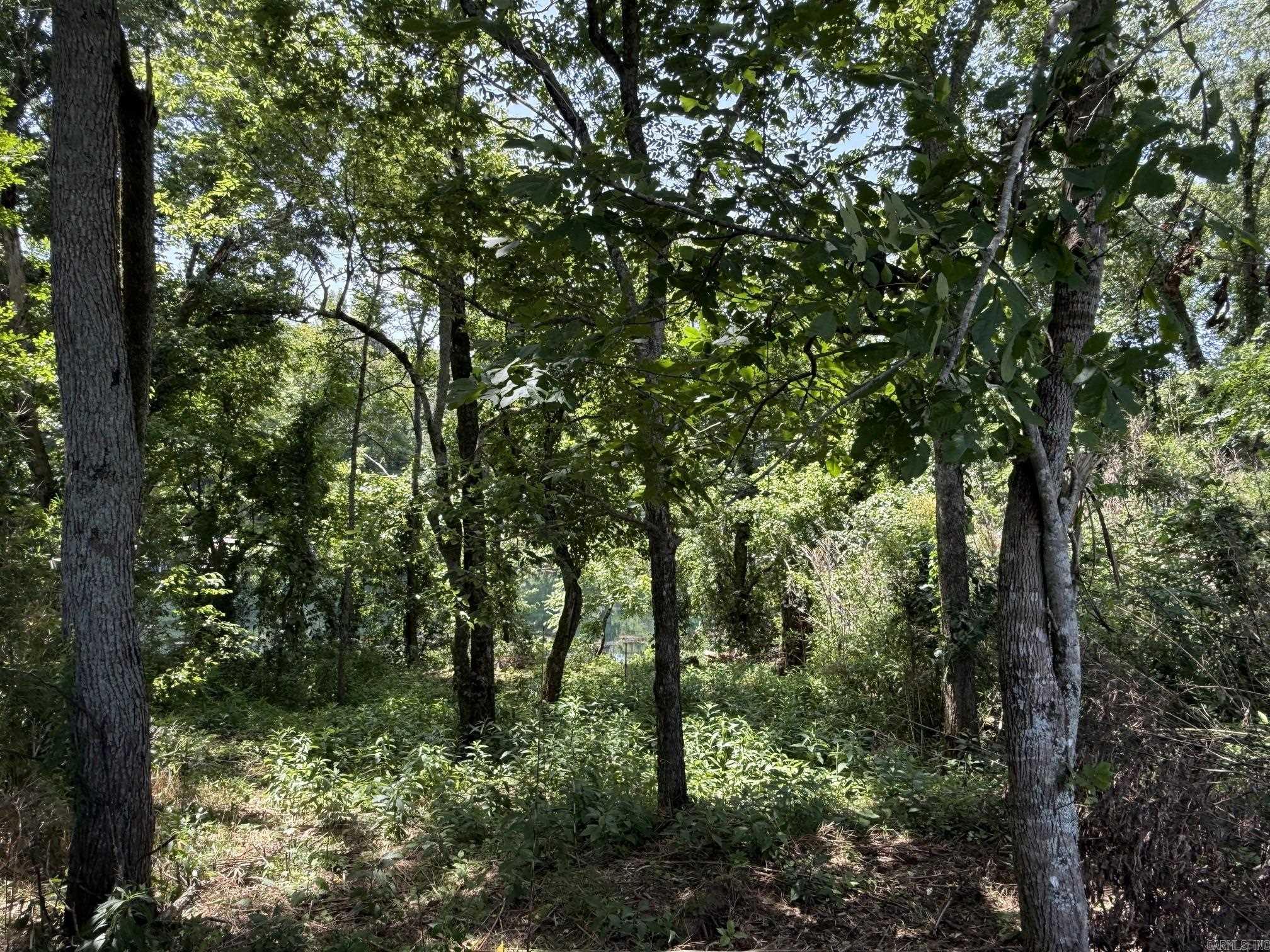 Lot 41 Up River Property Photo 7