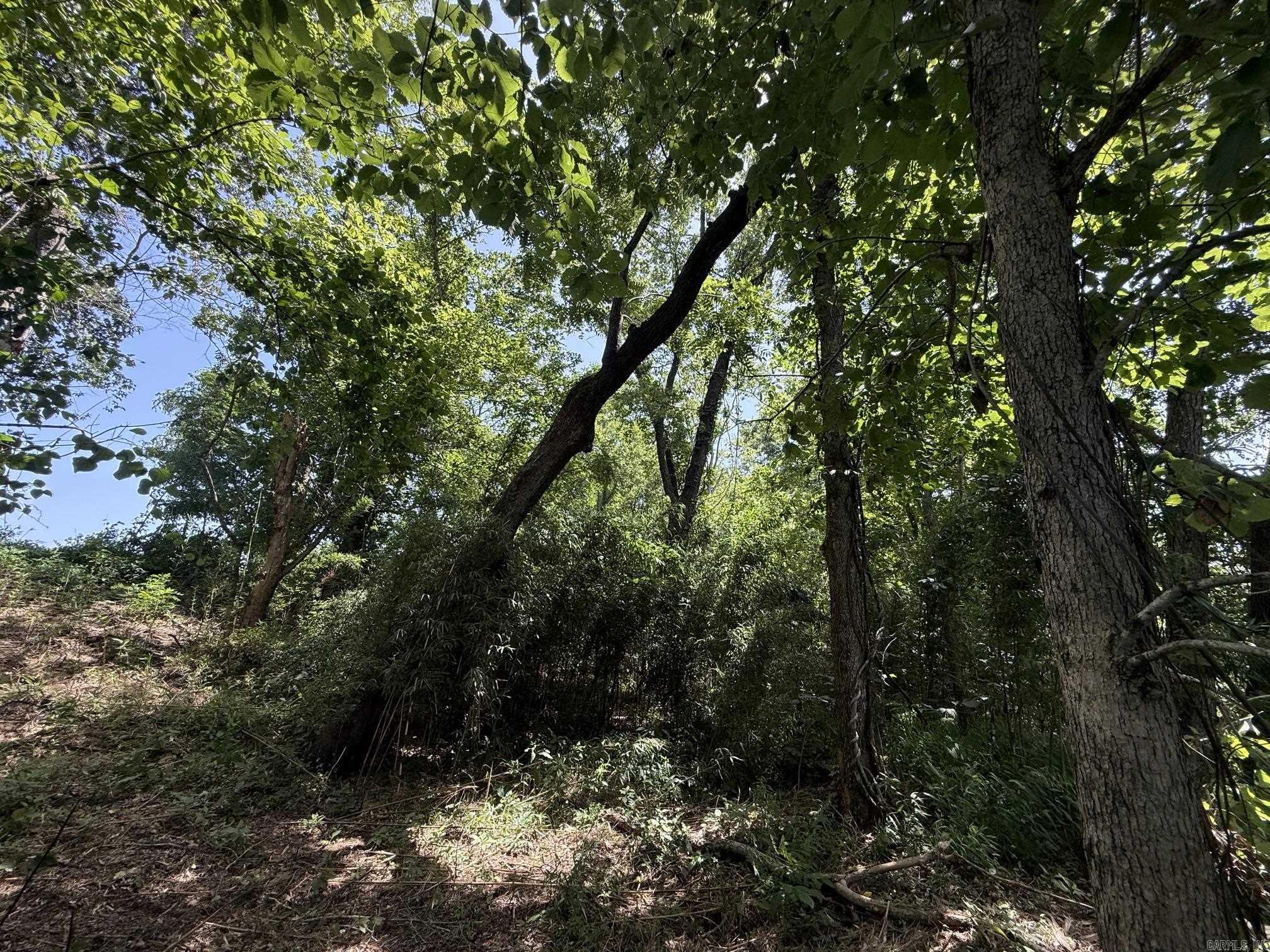 Lot 42 Up River Property Photo 2