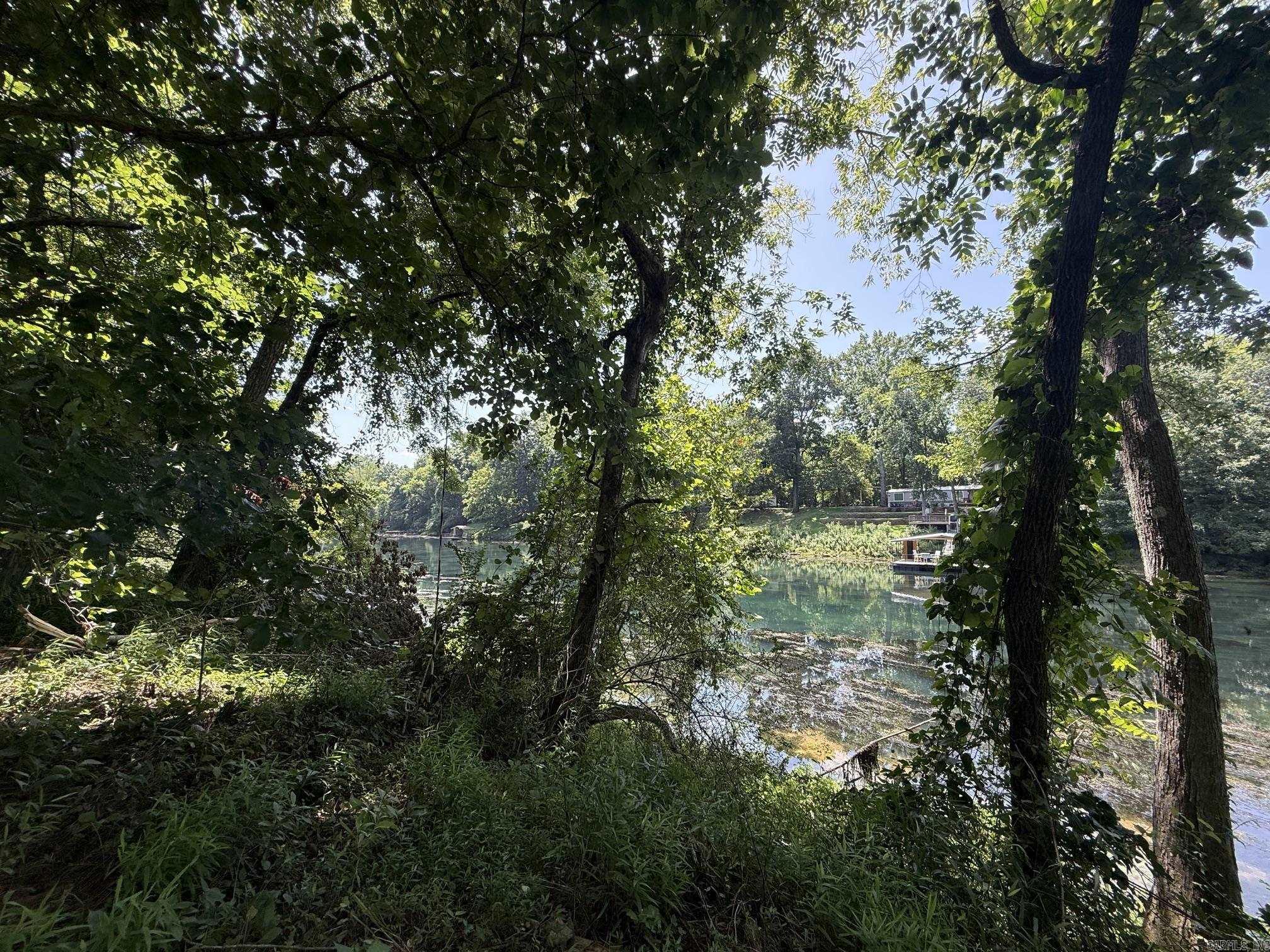 Lot 42 Up River Property Photo 3