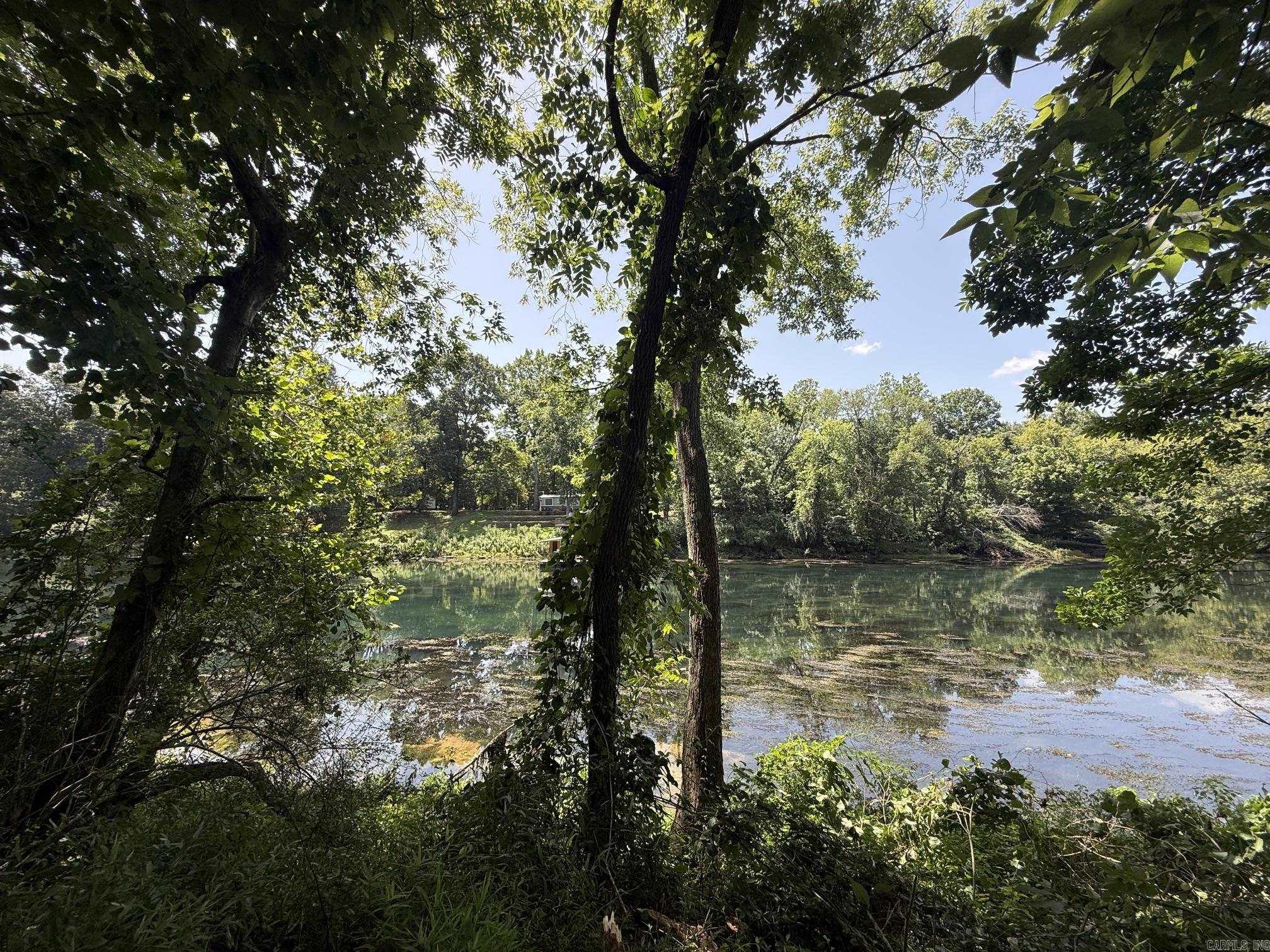 Lot 42 Up River Property Photo 4