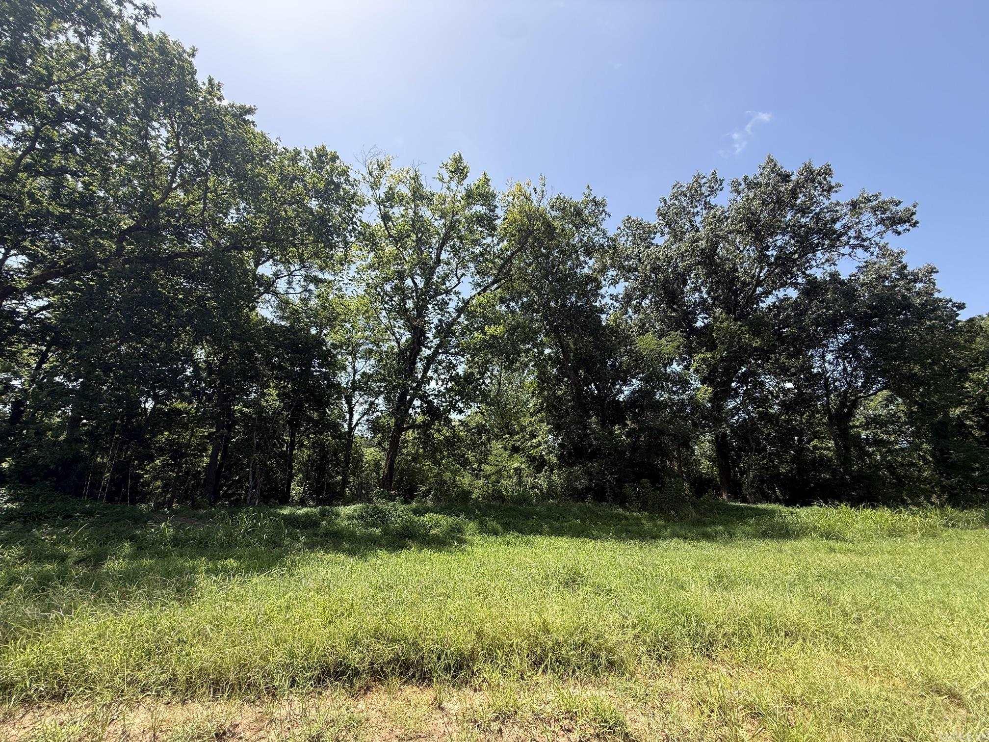 Lot 42 Up River Property Photo 5