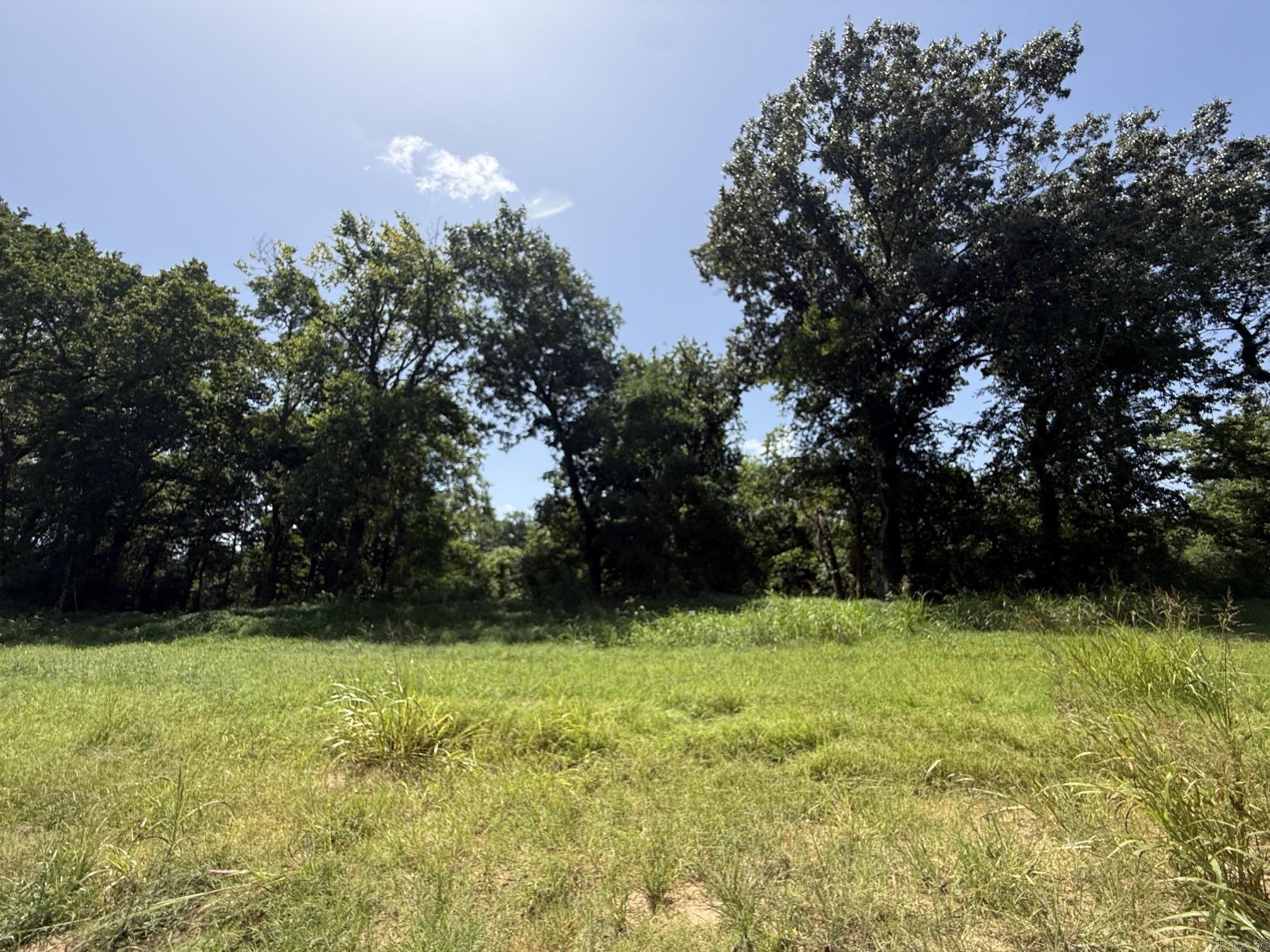 Lot 42 Up River Property Photo 6