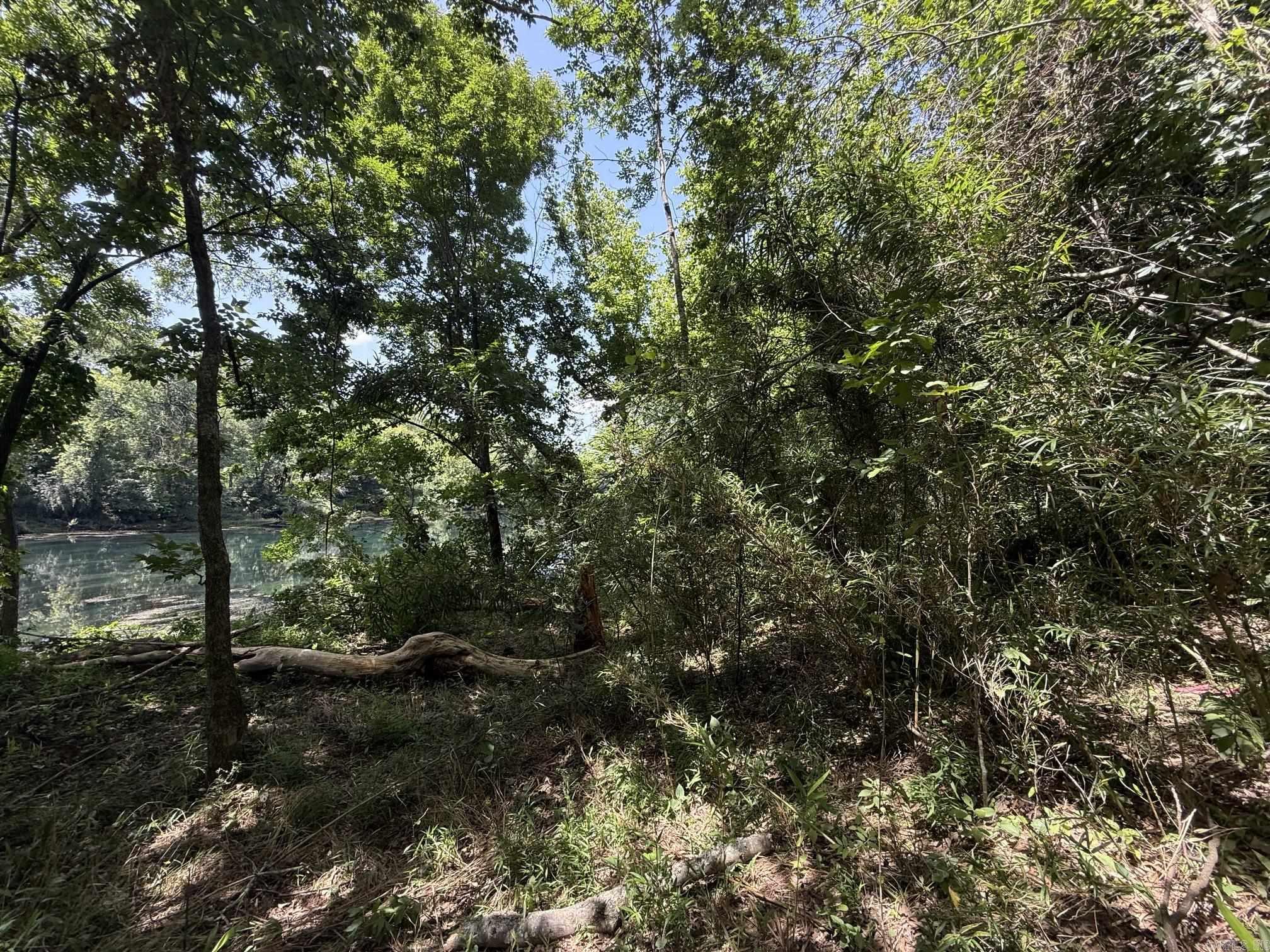 Lot 43 Up River Property Photo 1