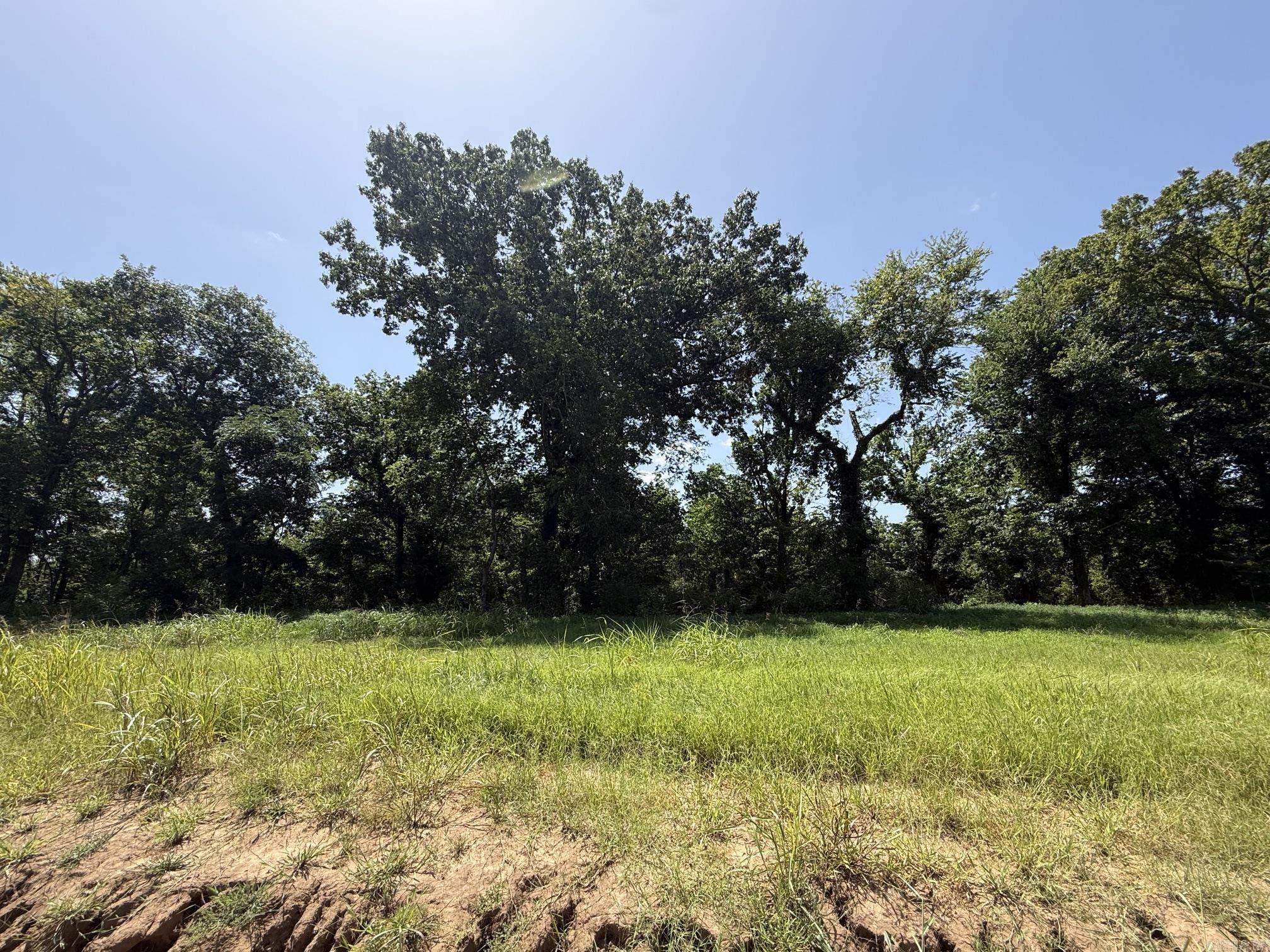 Lot 43 Up River Property Photo 2