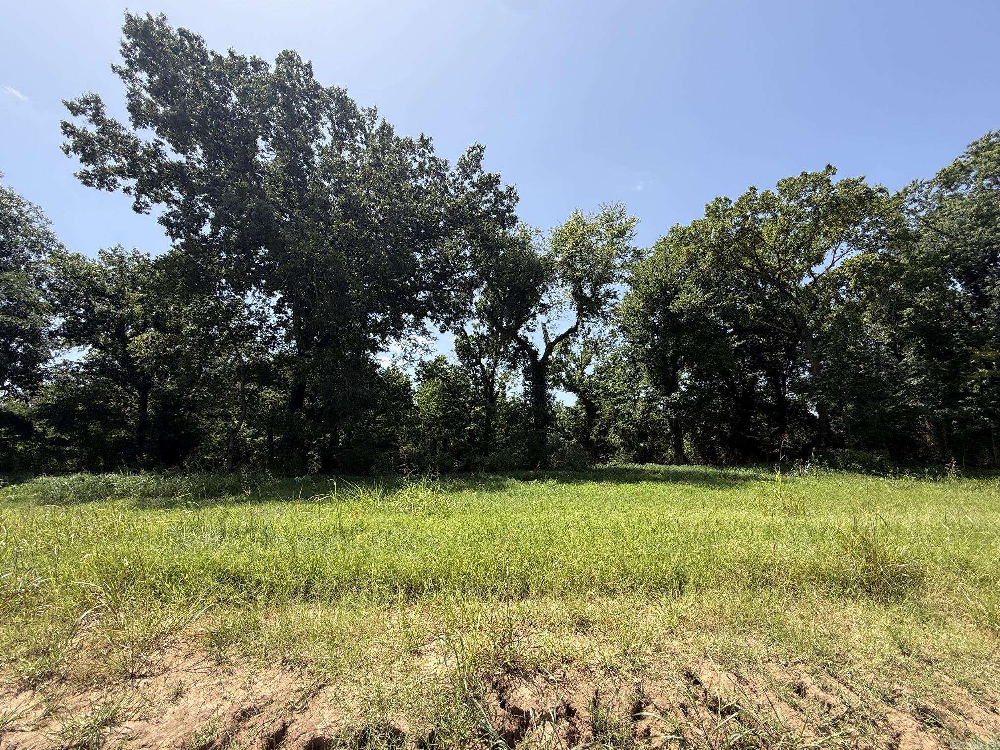 Lot 43 Up River Property Photo 3
