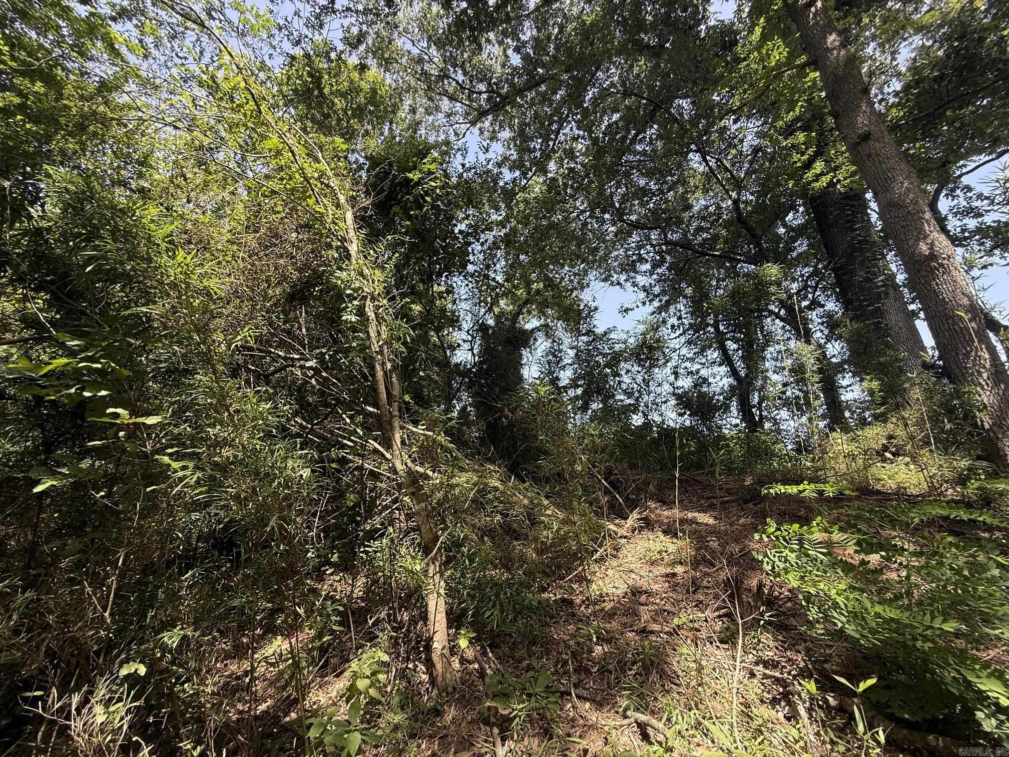 Lot 43 Up River Property Photo 4