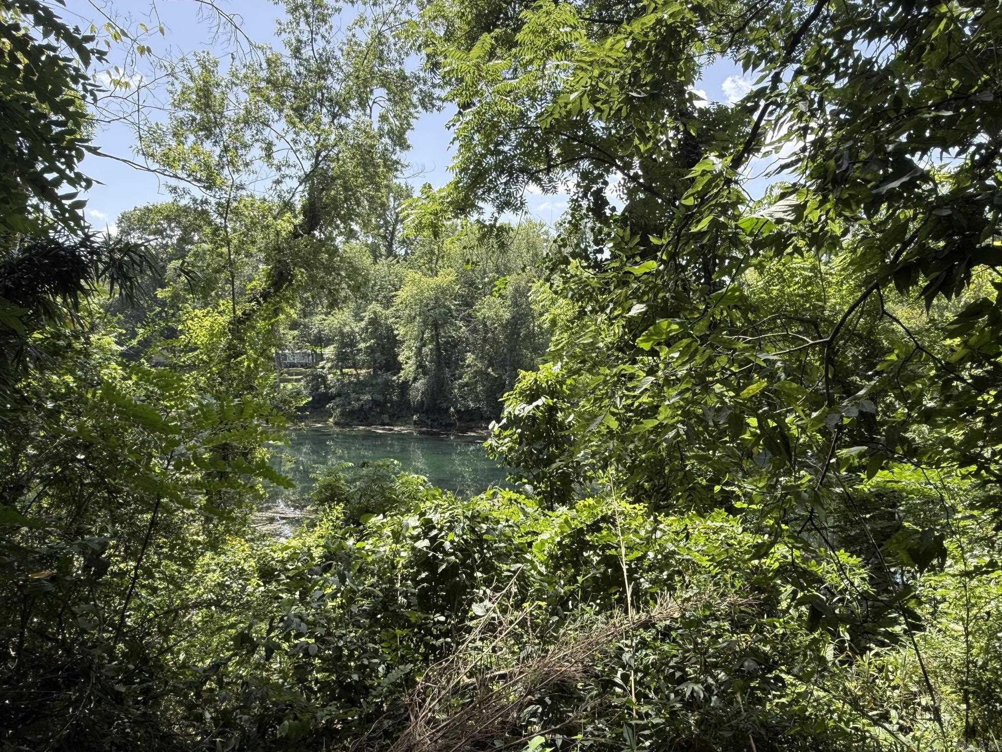 Lot 44 Up River Property Photo 2
