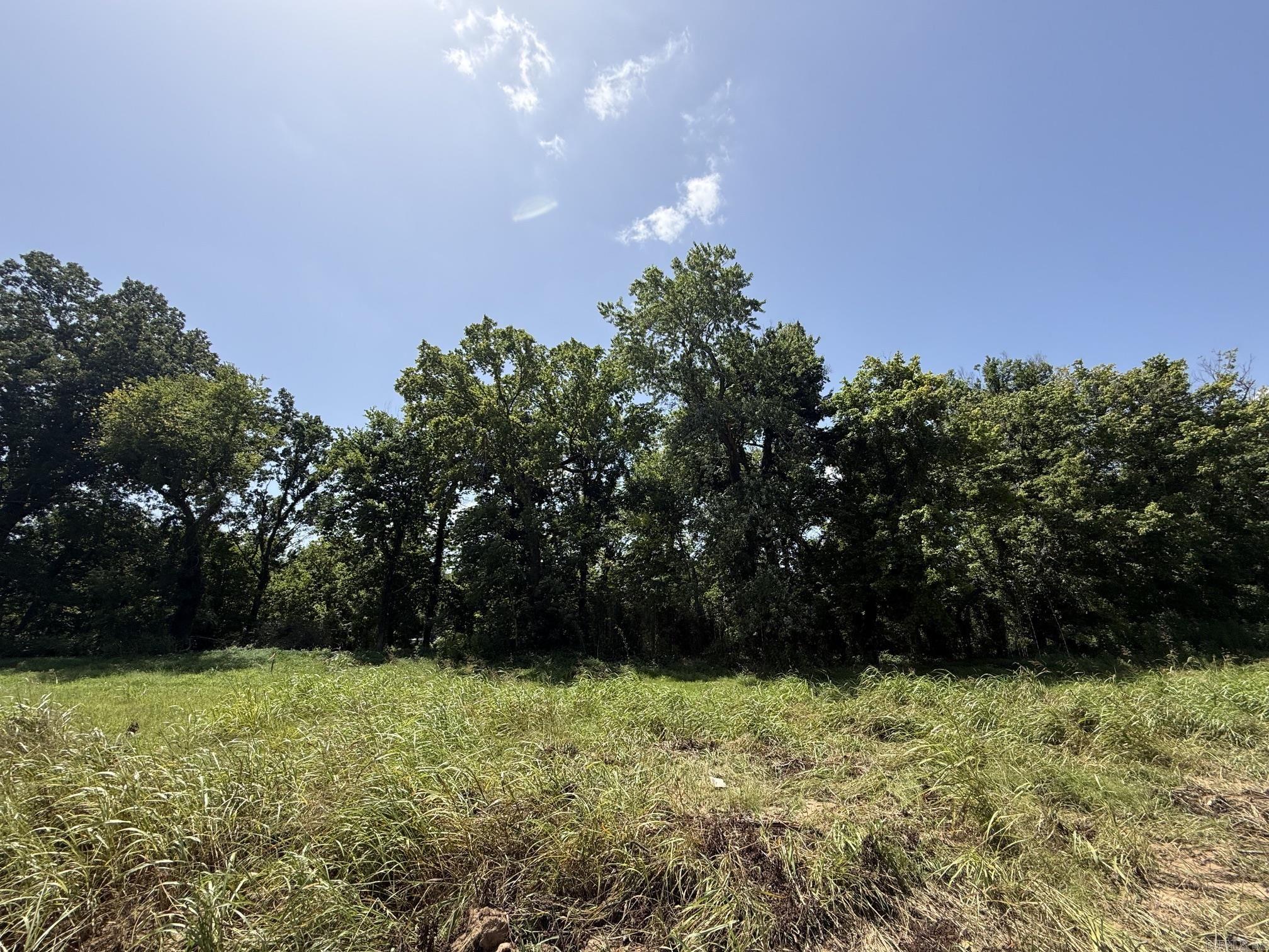 Lot 44 Up River Property Photo 3