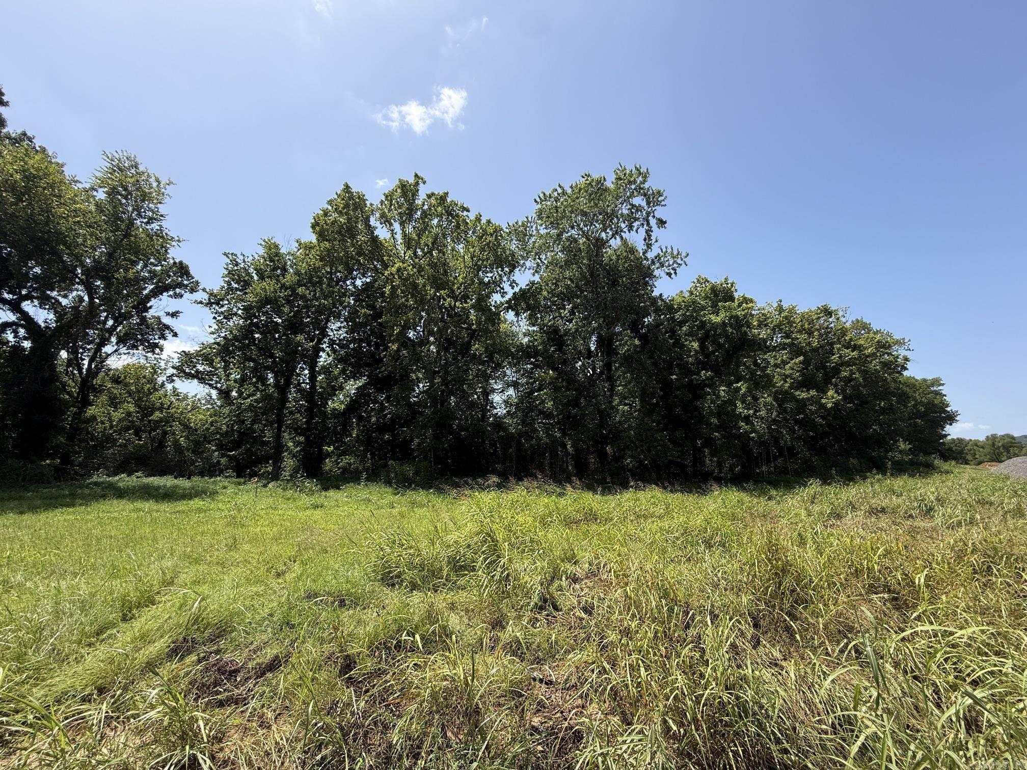 Lot 44 Up River Property Photo 4