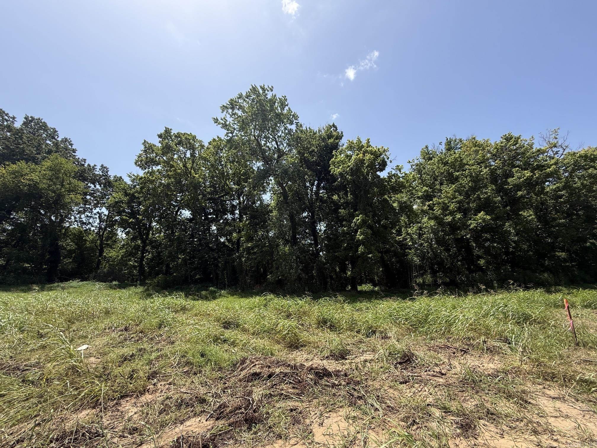 Lot 44 Up River Property Photo 5