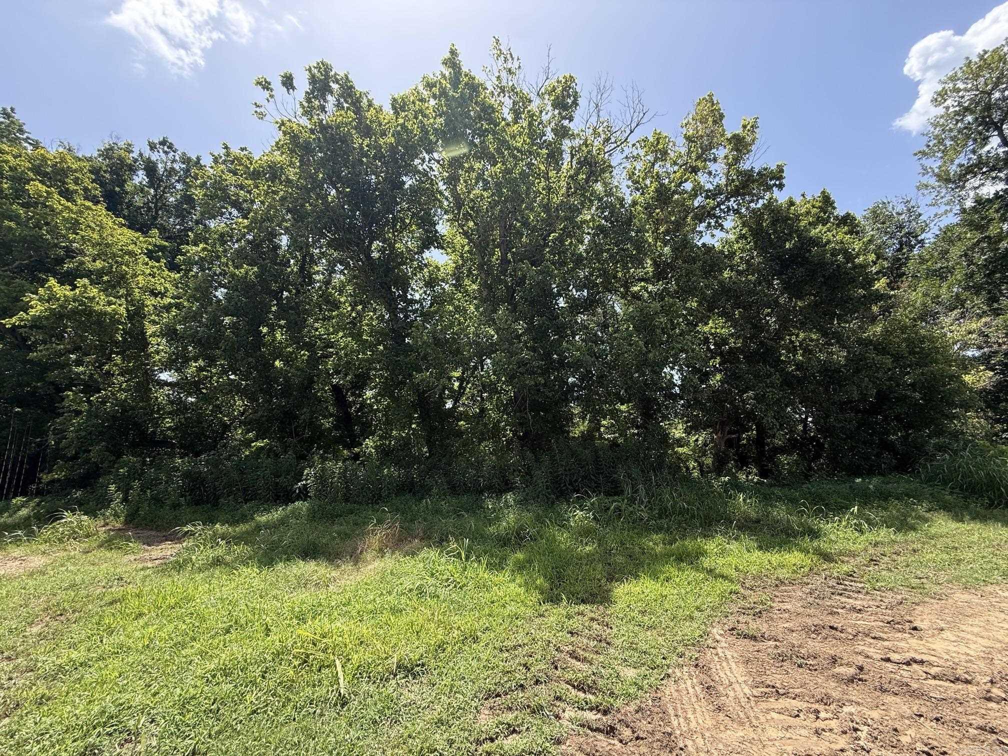 Lot 45 Up River Property Photo 3