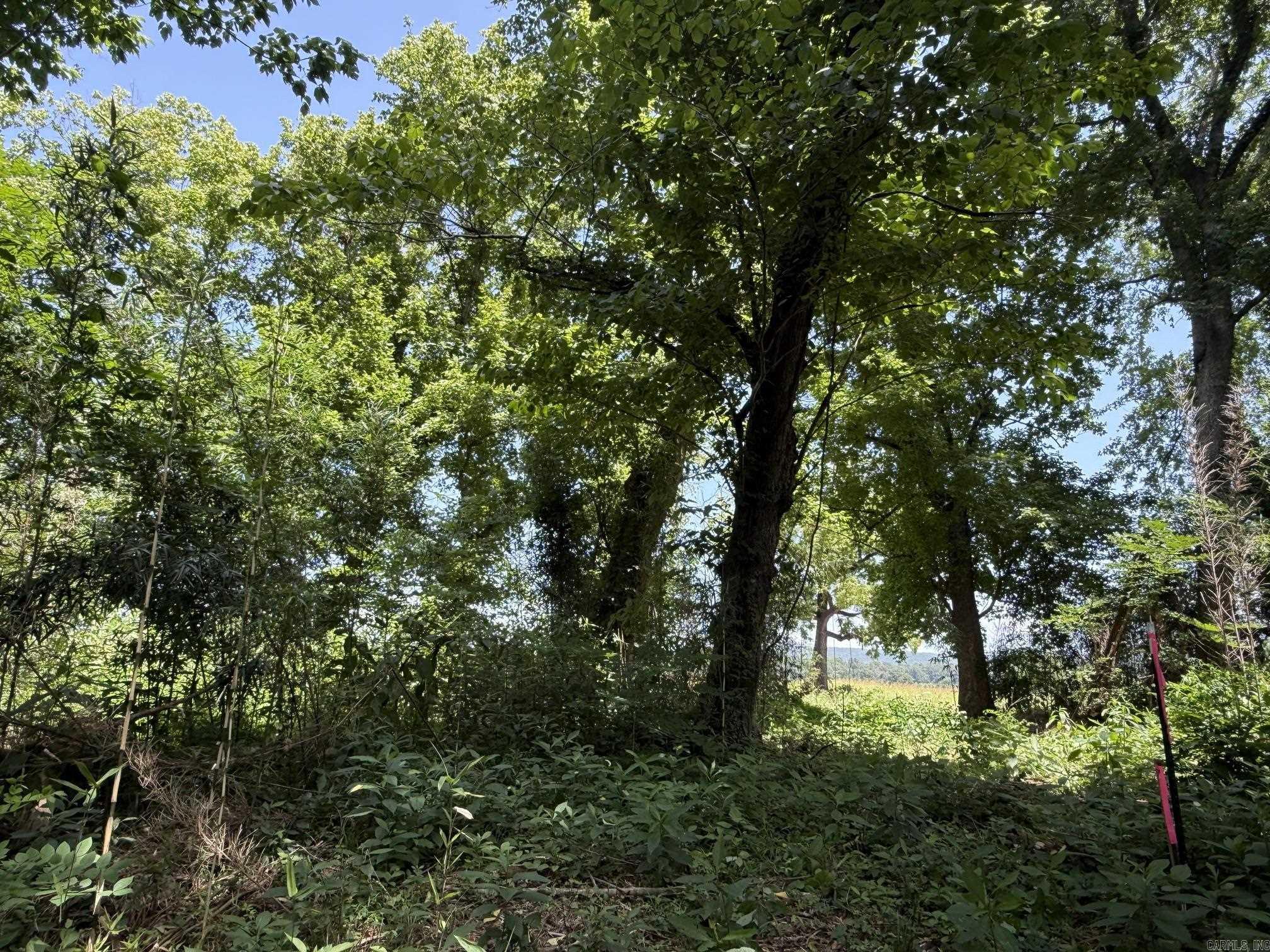 Lot 45 Up River Property Photo 5