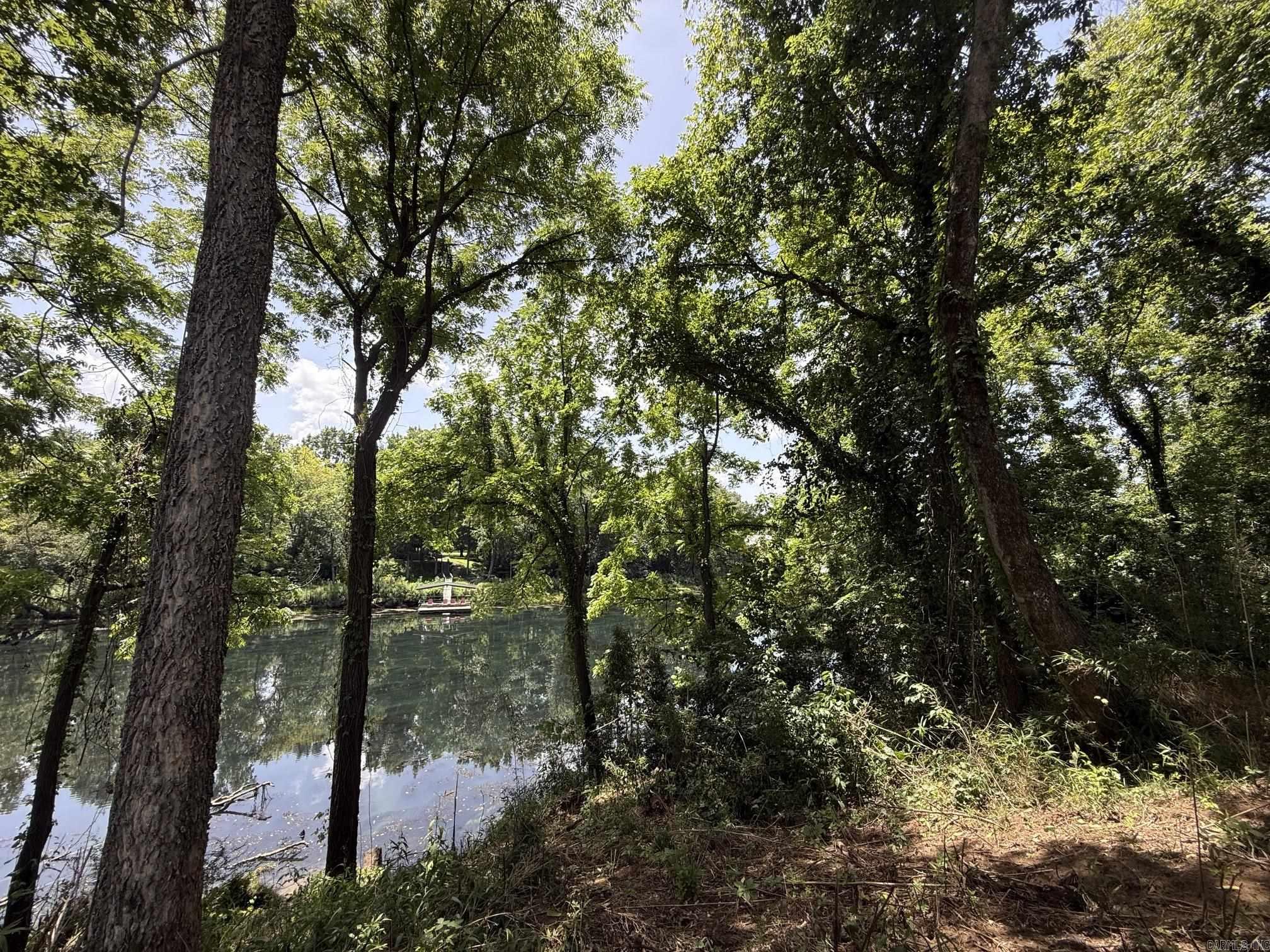 Lot 46 Up River Property Photo 2