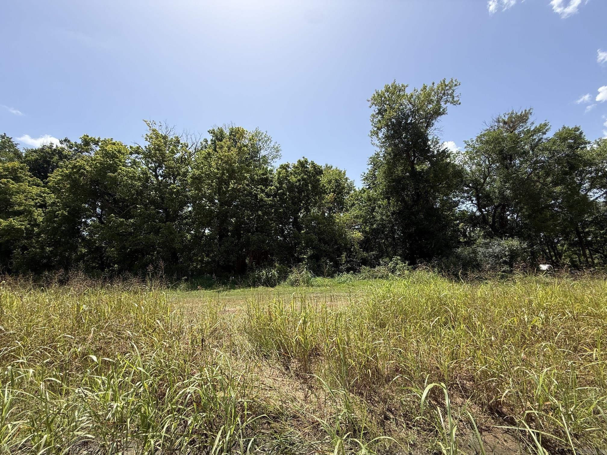 Lot 46 Up River Property Photo 4