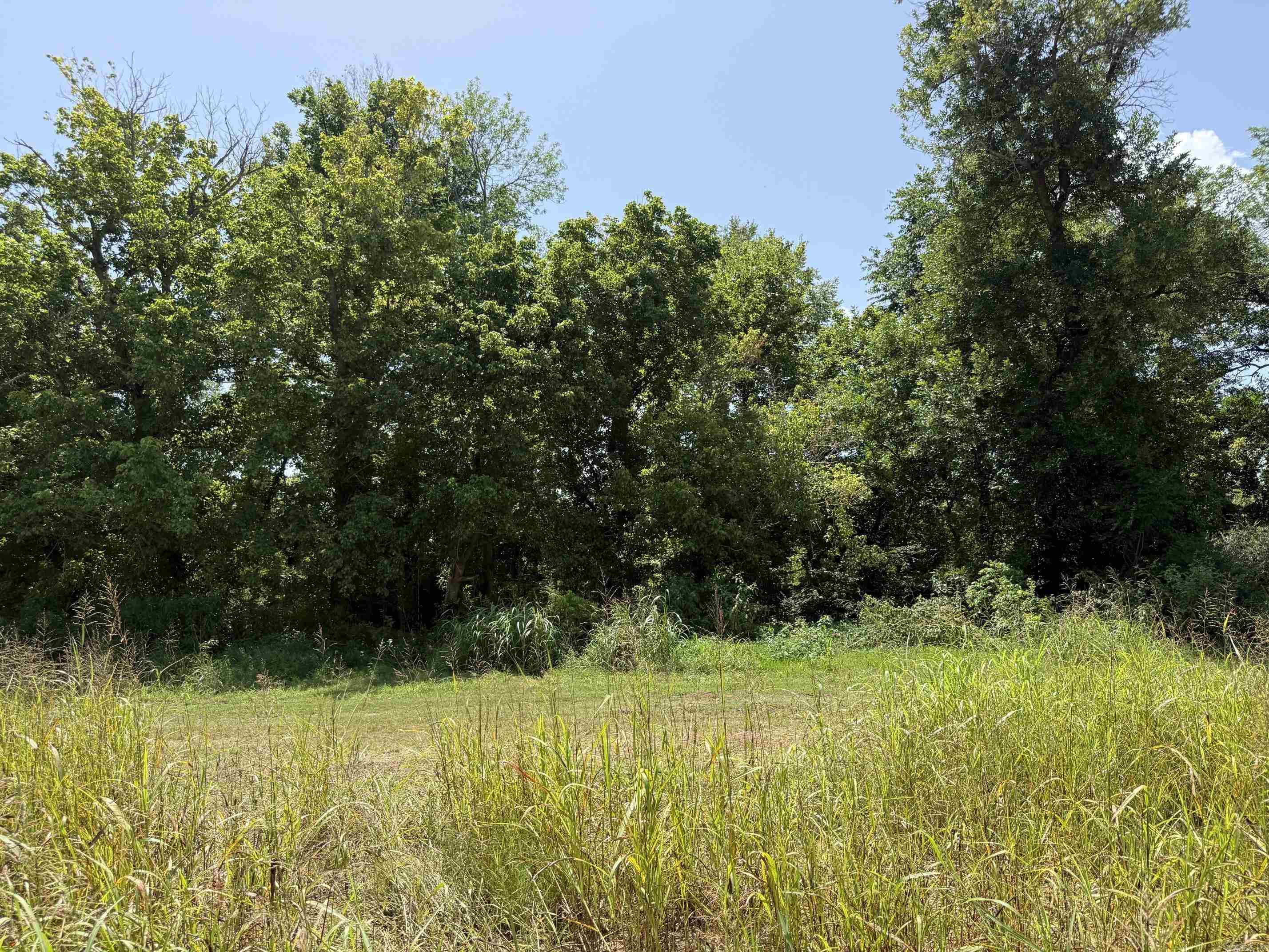 Lot 46 Up River Property Photo 5