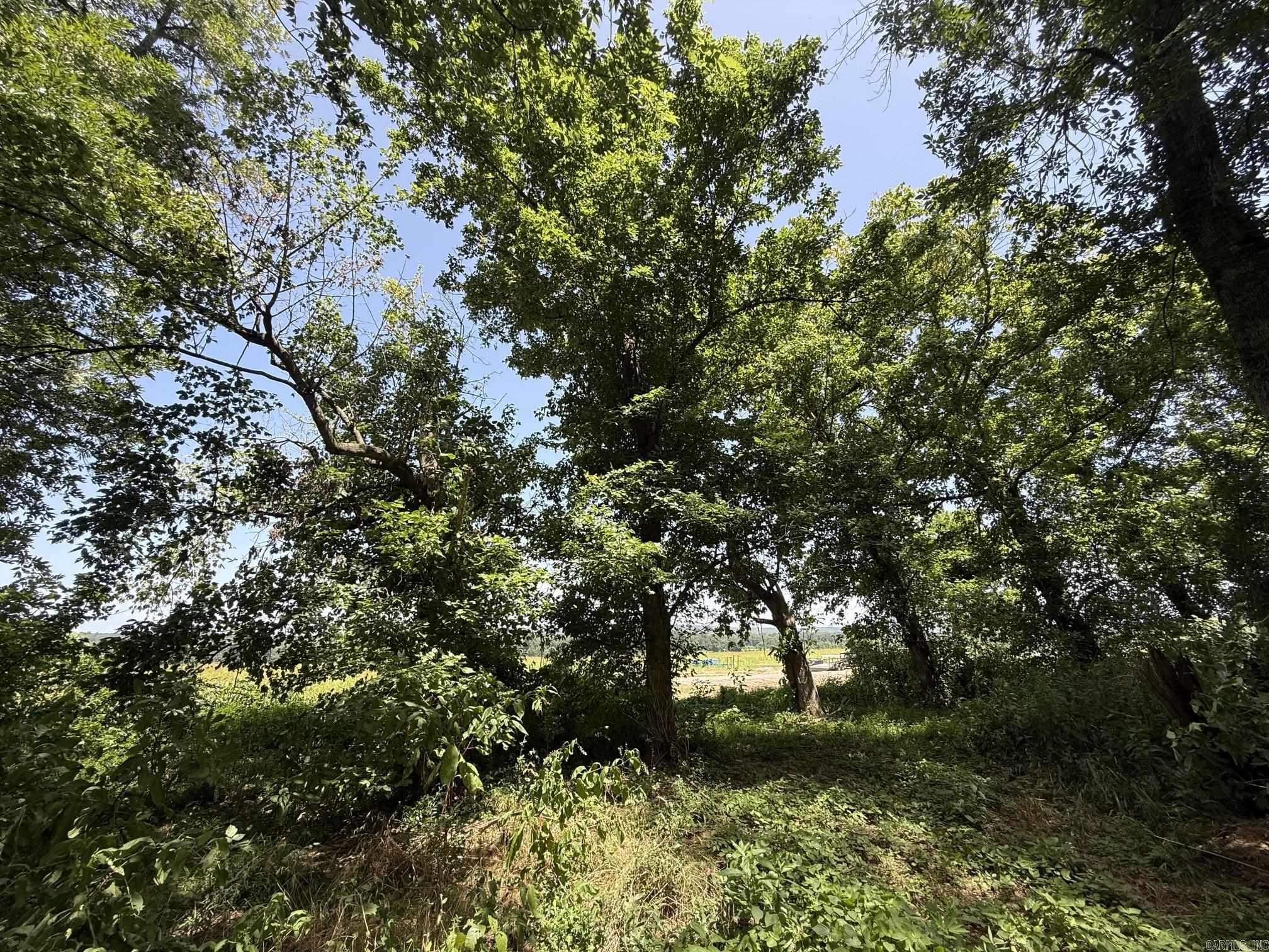 Lot 46 Up River Property Photo 6
