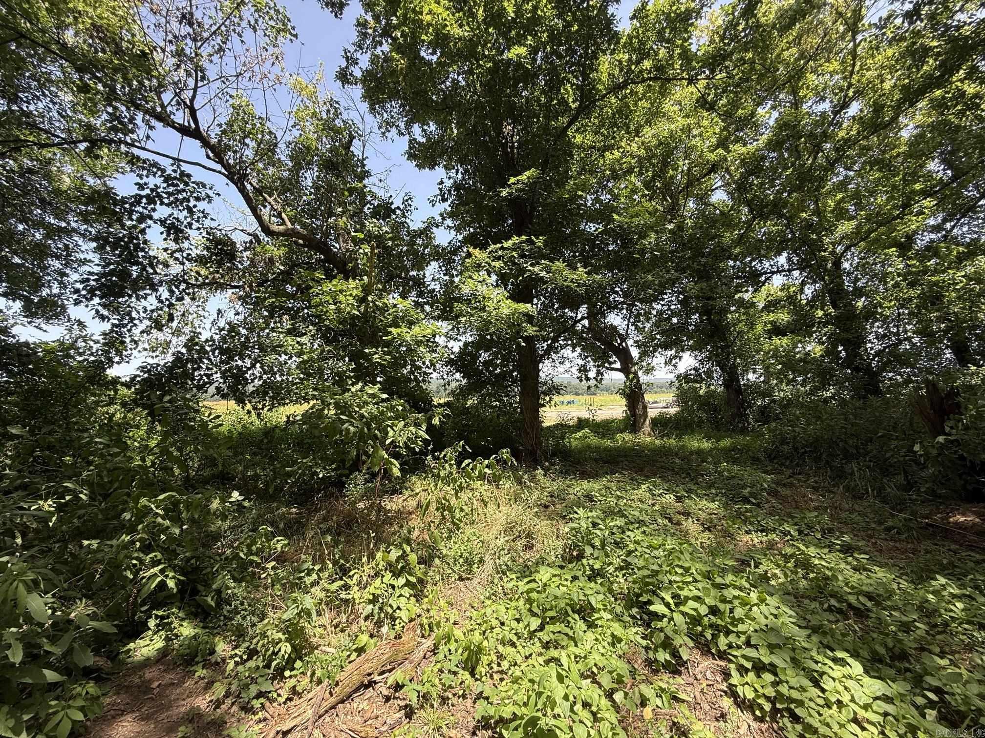 Lot 46 Up River Property Photo 7