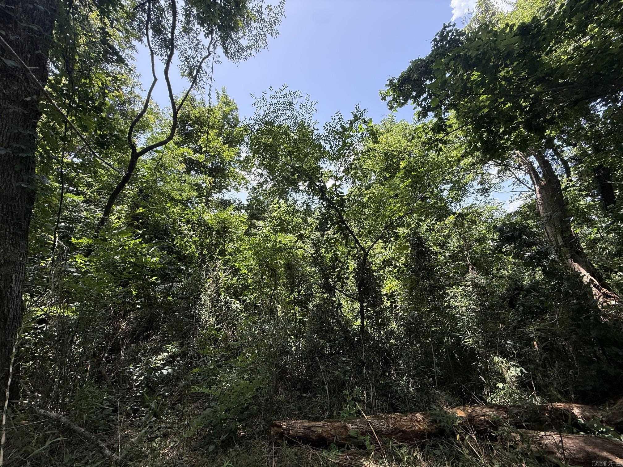Lot 46 Up River Property Photo 8