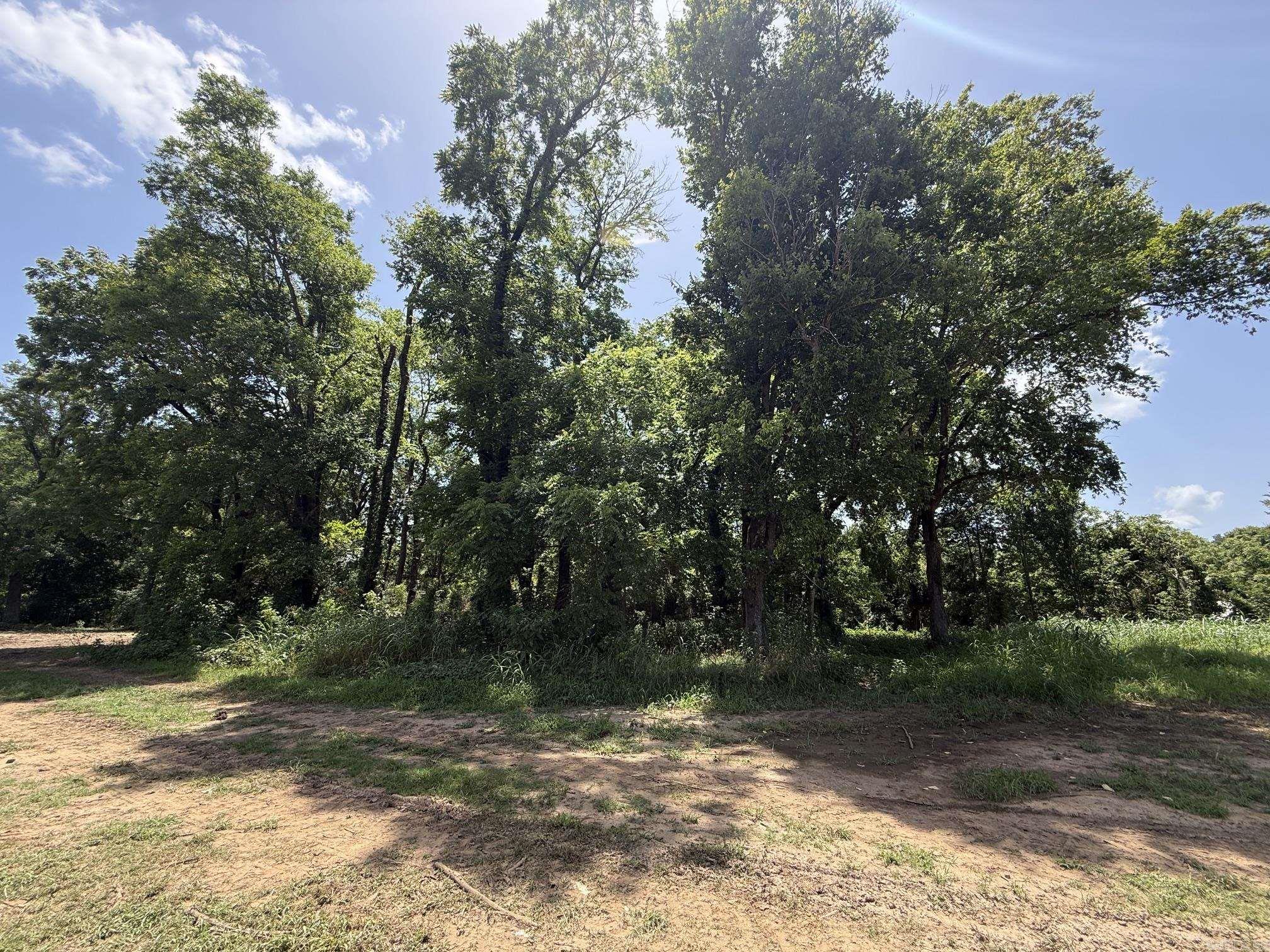 Lot 48 Up River Property Photo 2