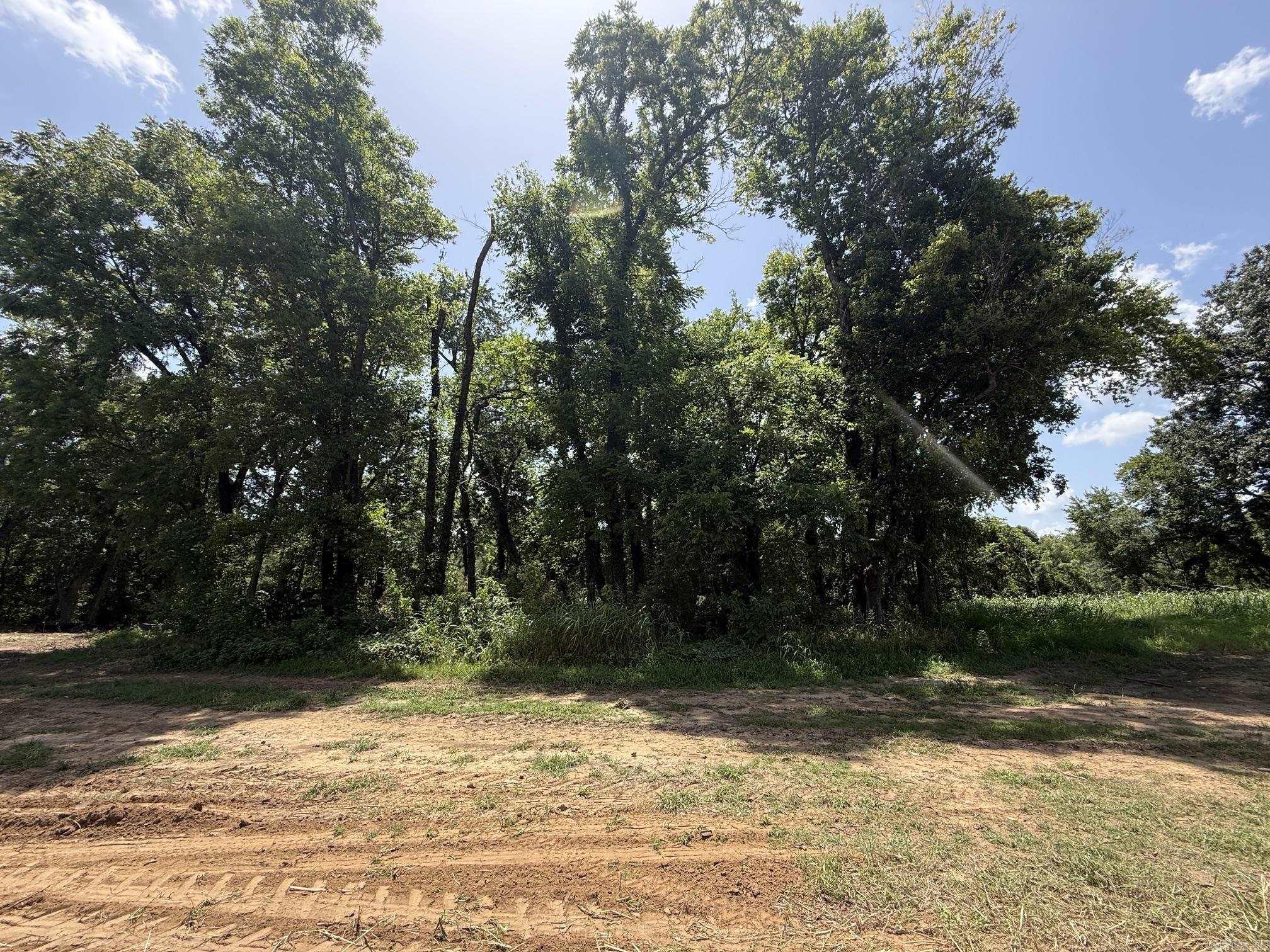 Lot 48 Up River Property Photo 3