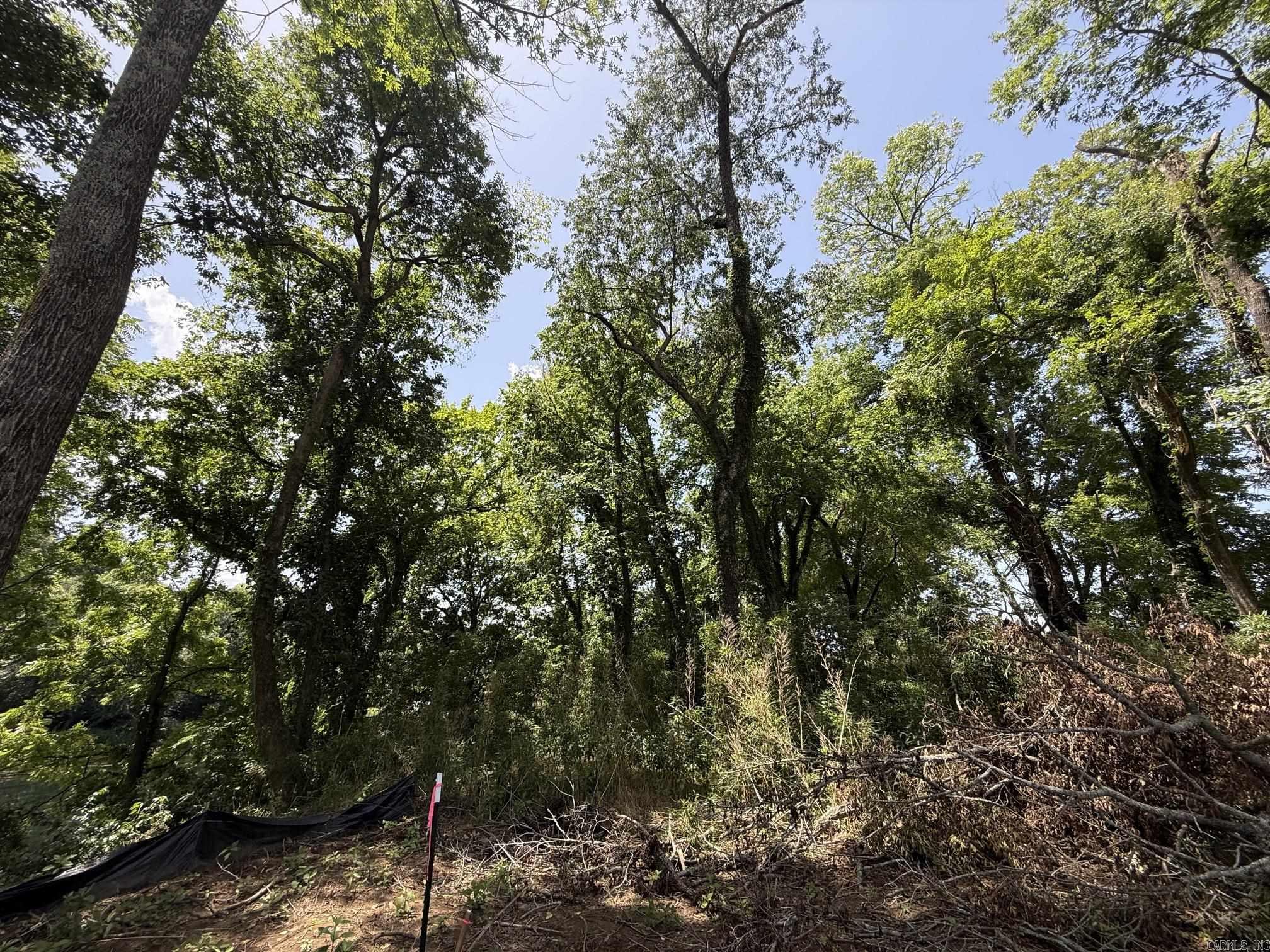 Lot 48 Up River Property Photo 4