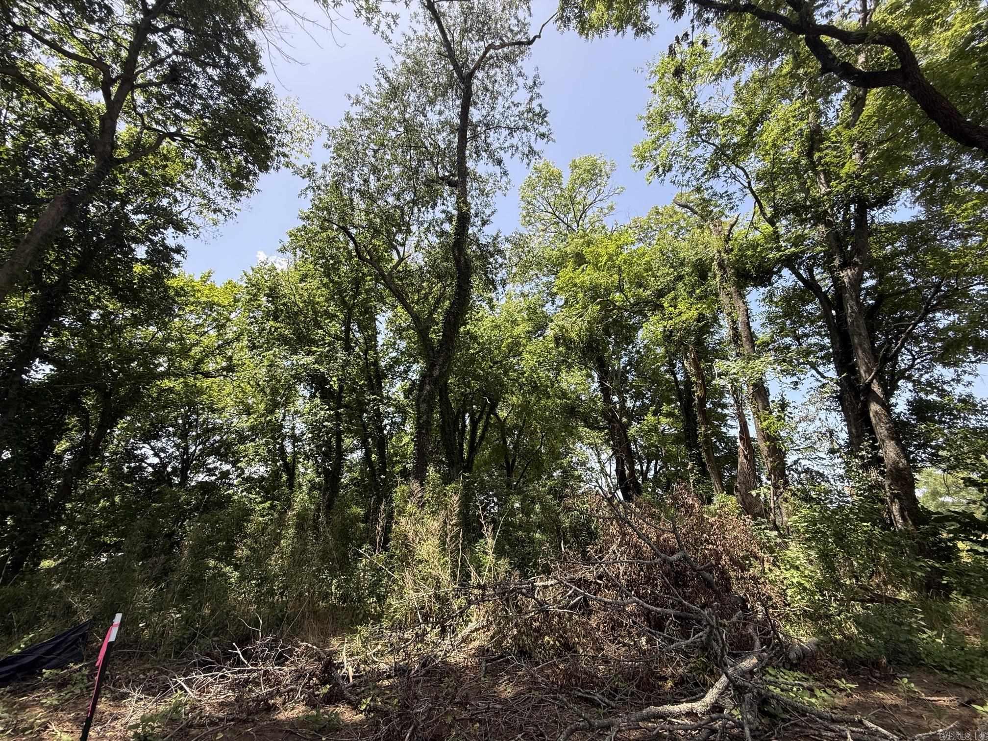 Lot 48 Up River Property Photo 5