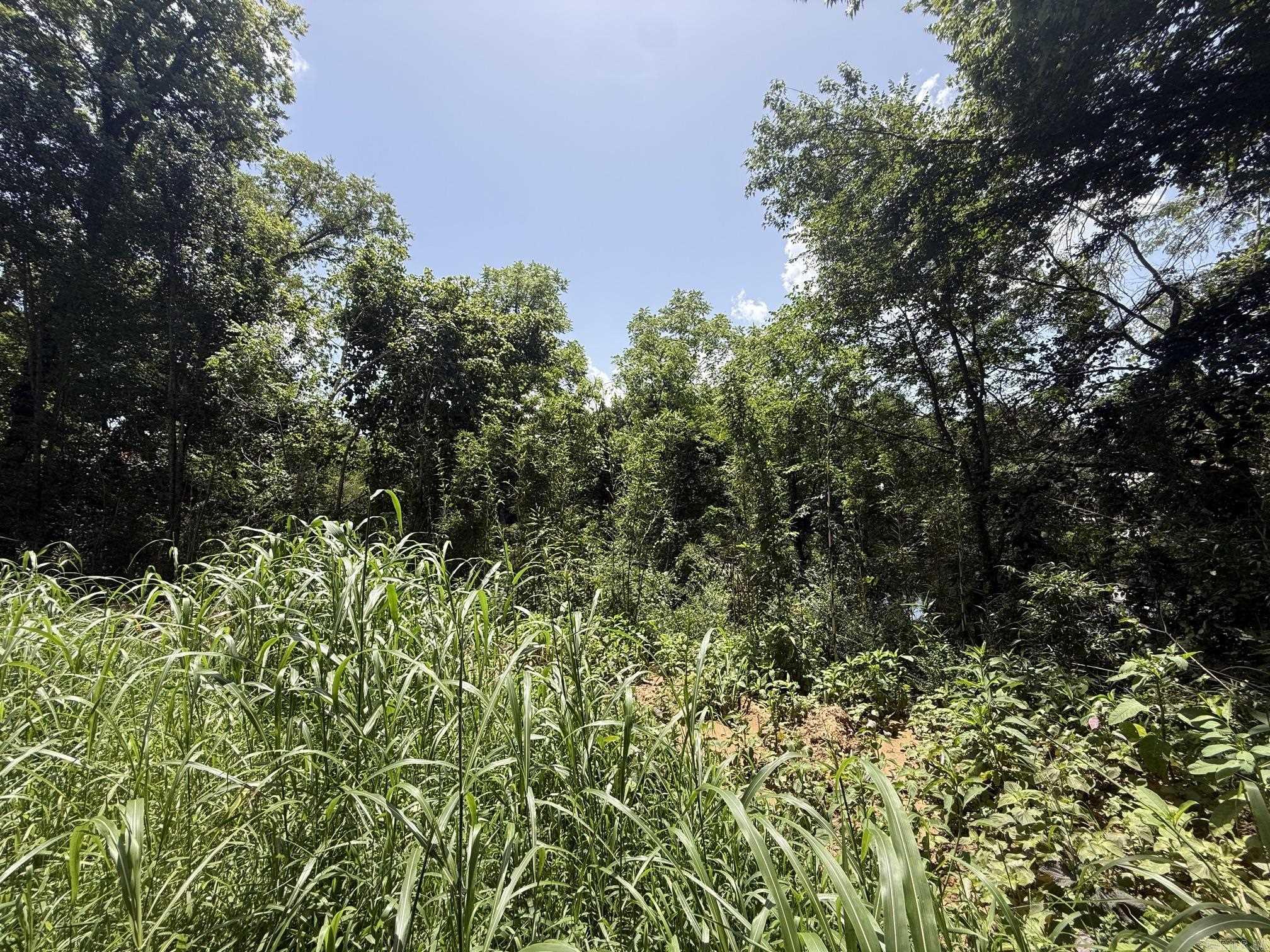 Lot 49 Down River Property Photo 2