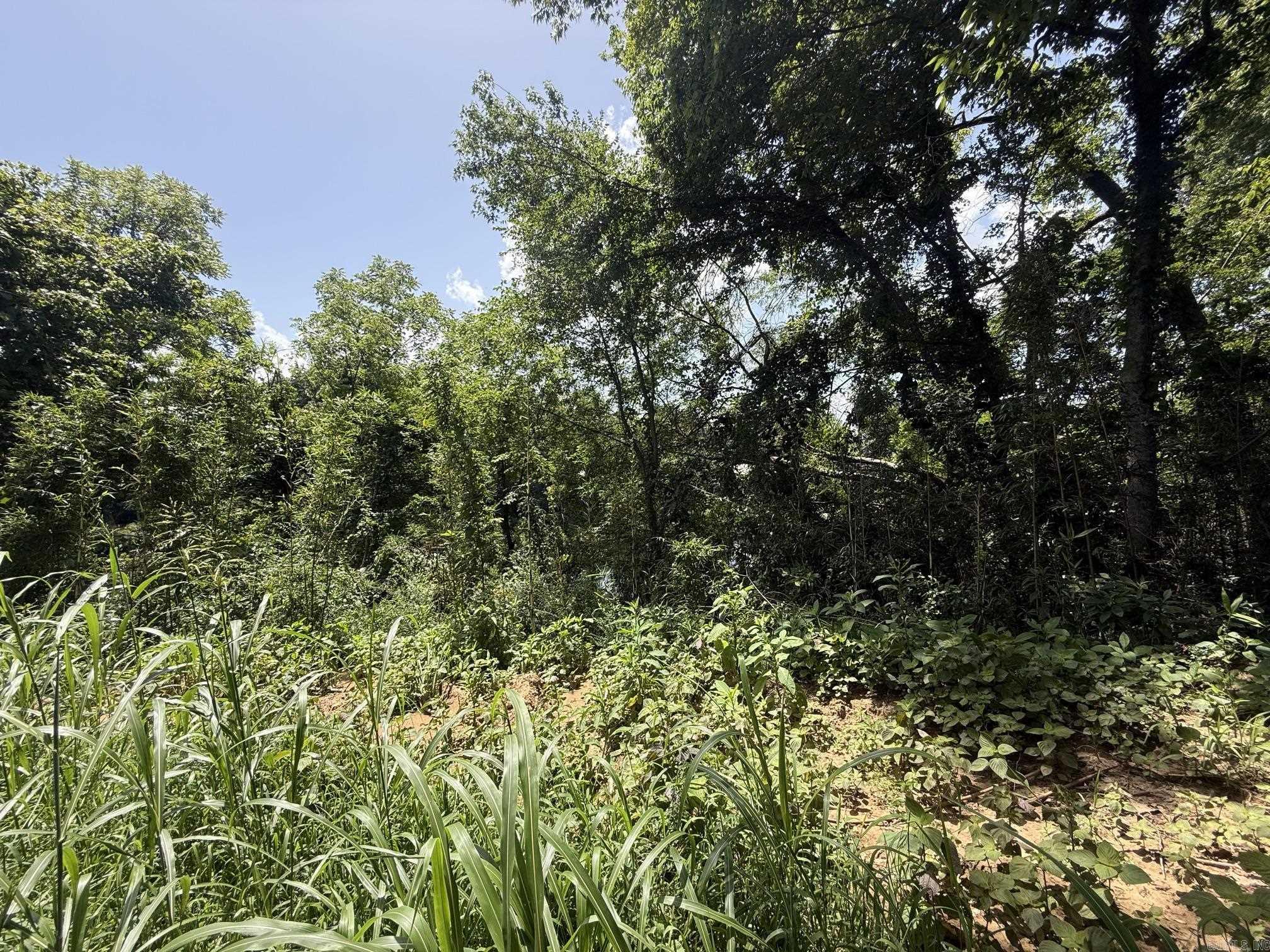 Lot 49 Down River Property Photo 3