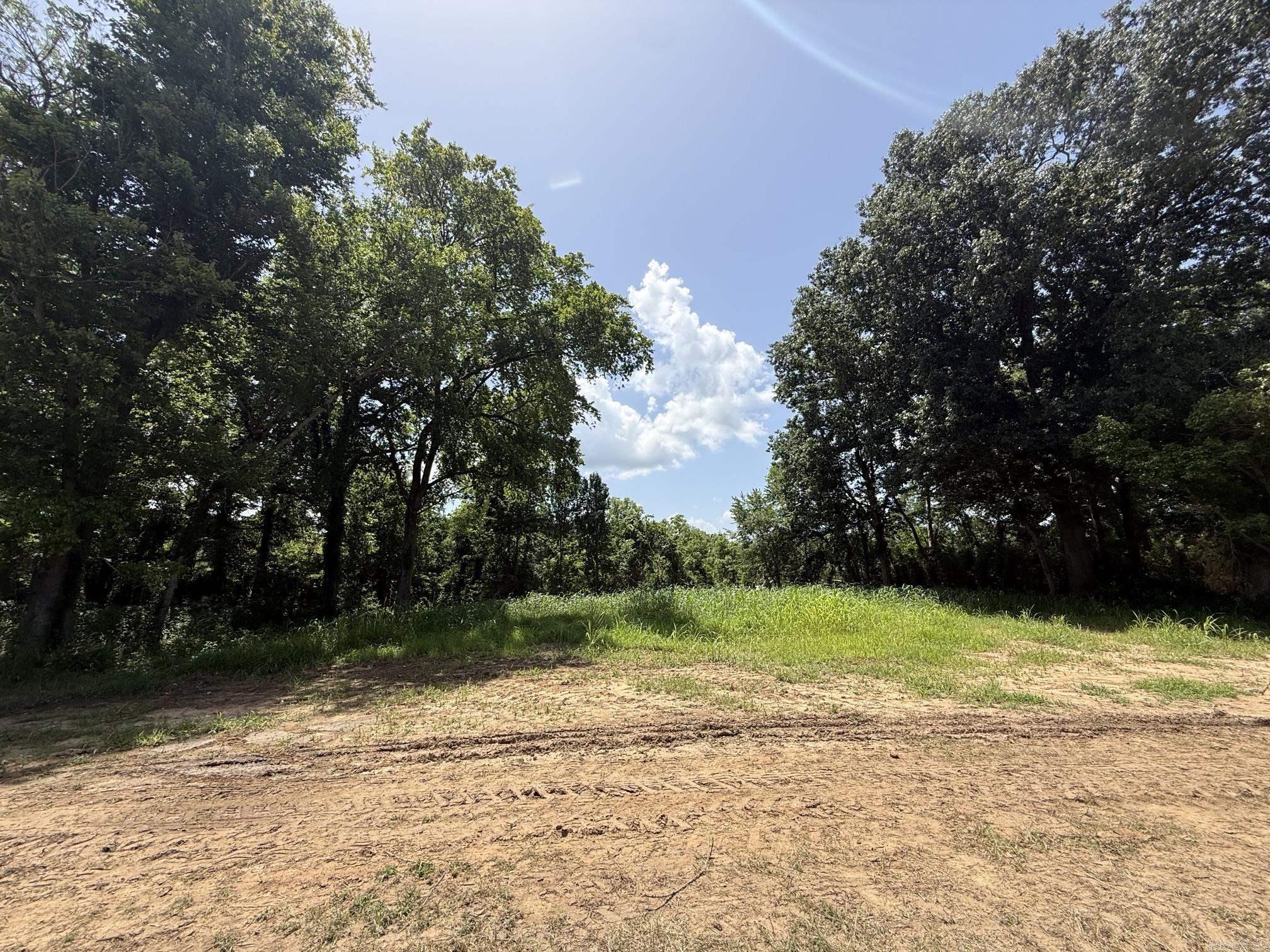 Lot 49 Down River Property Photo 4