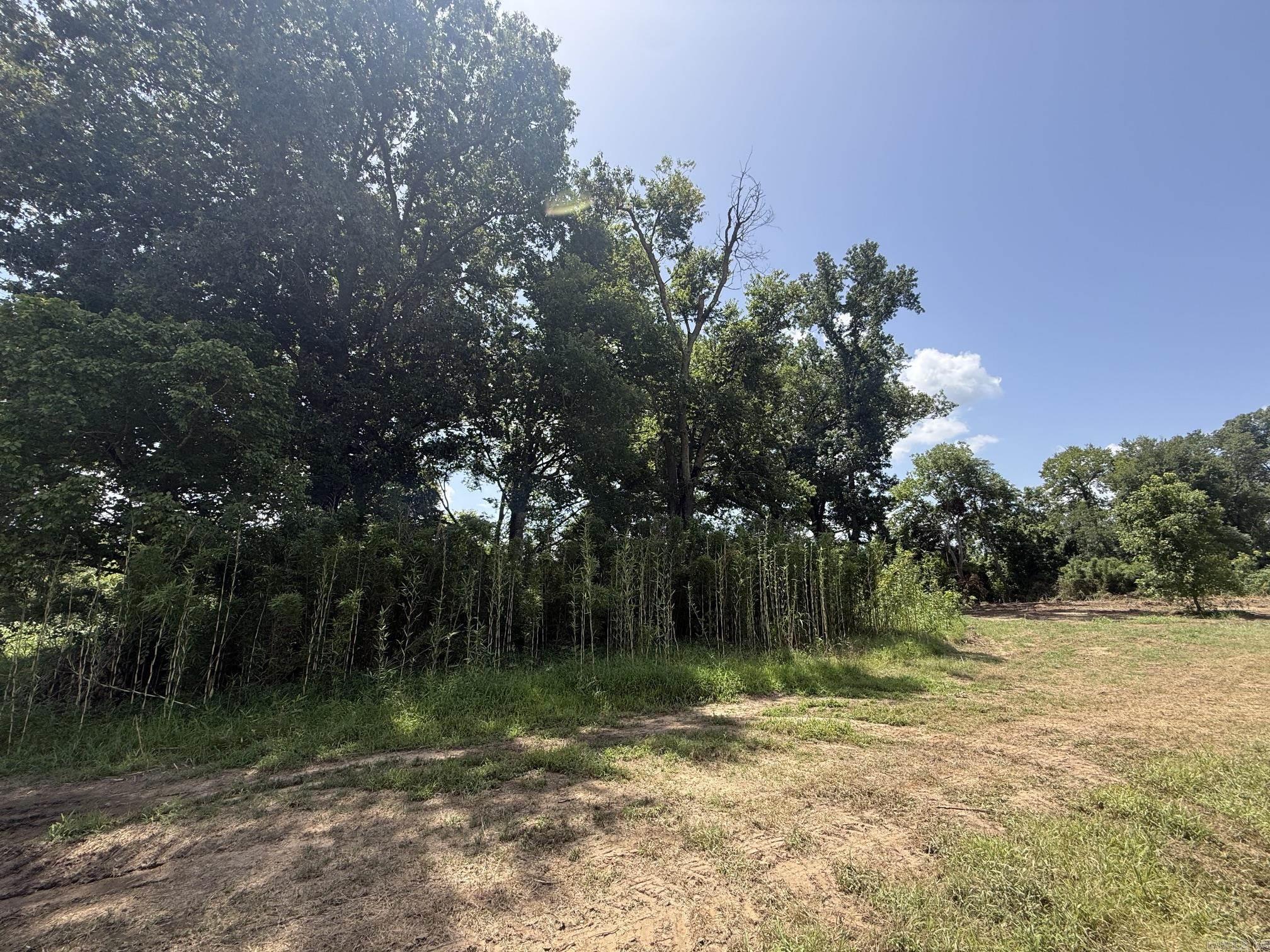 Lot 50 Down River Property Photo 2