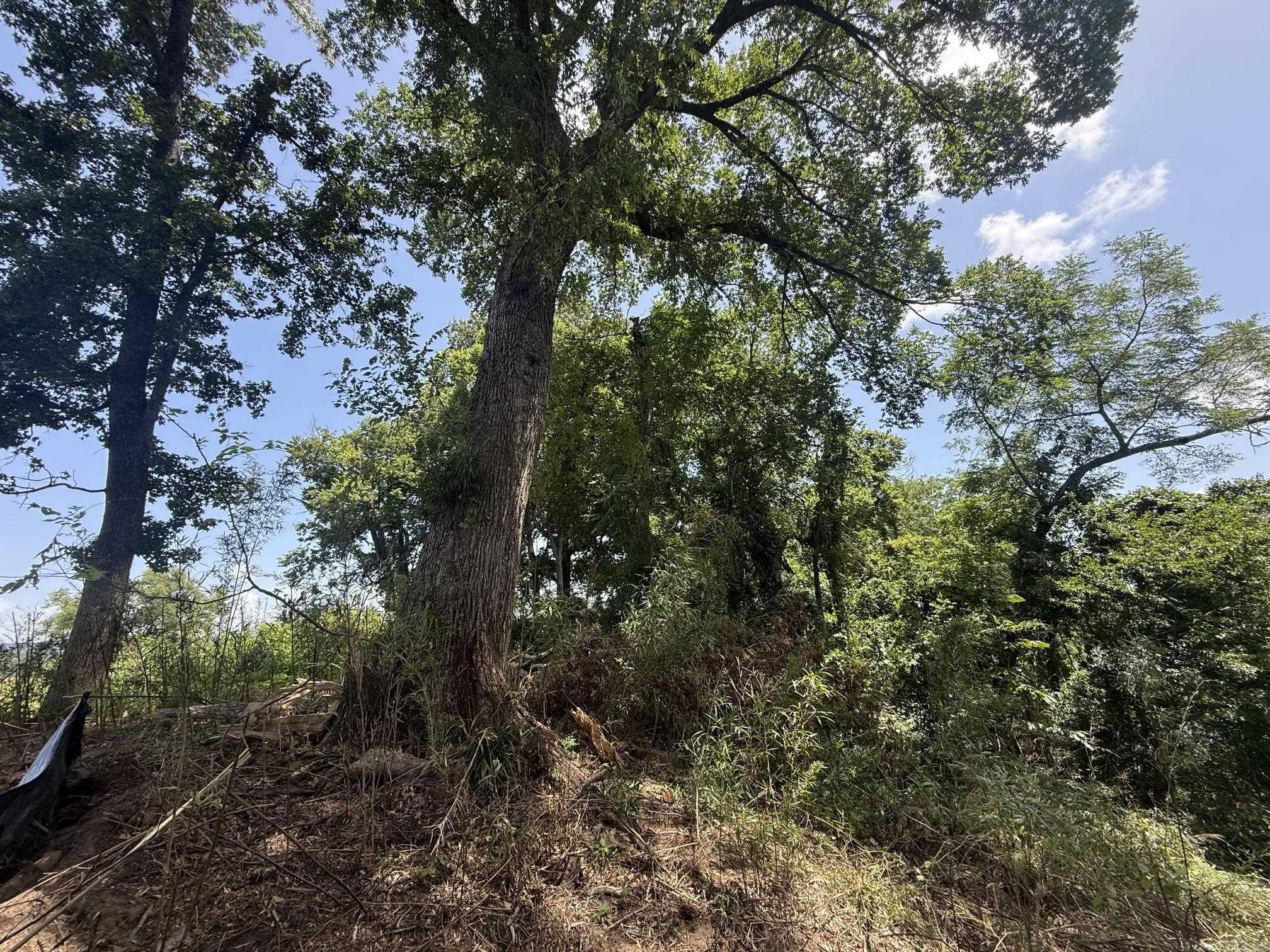Lot 50 Down River Property Photo 3