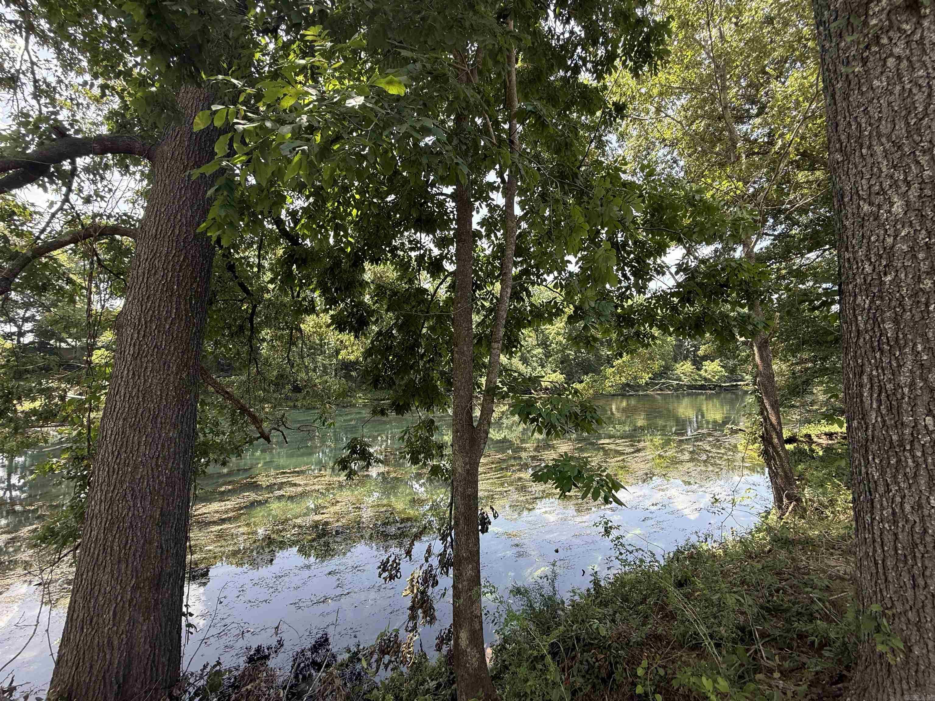 Lot 59 Down River Property Photo 1