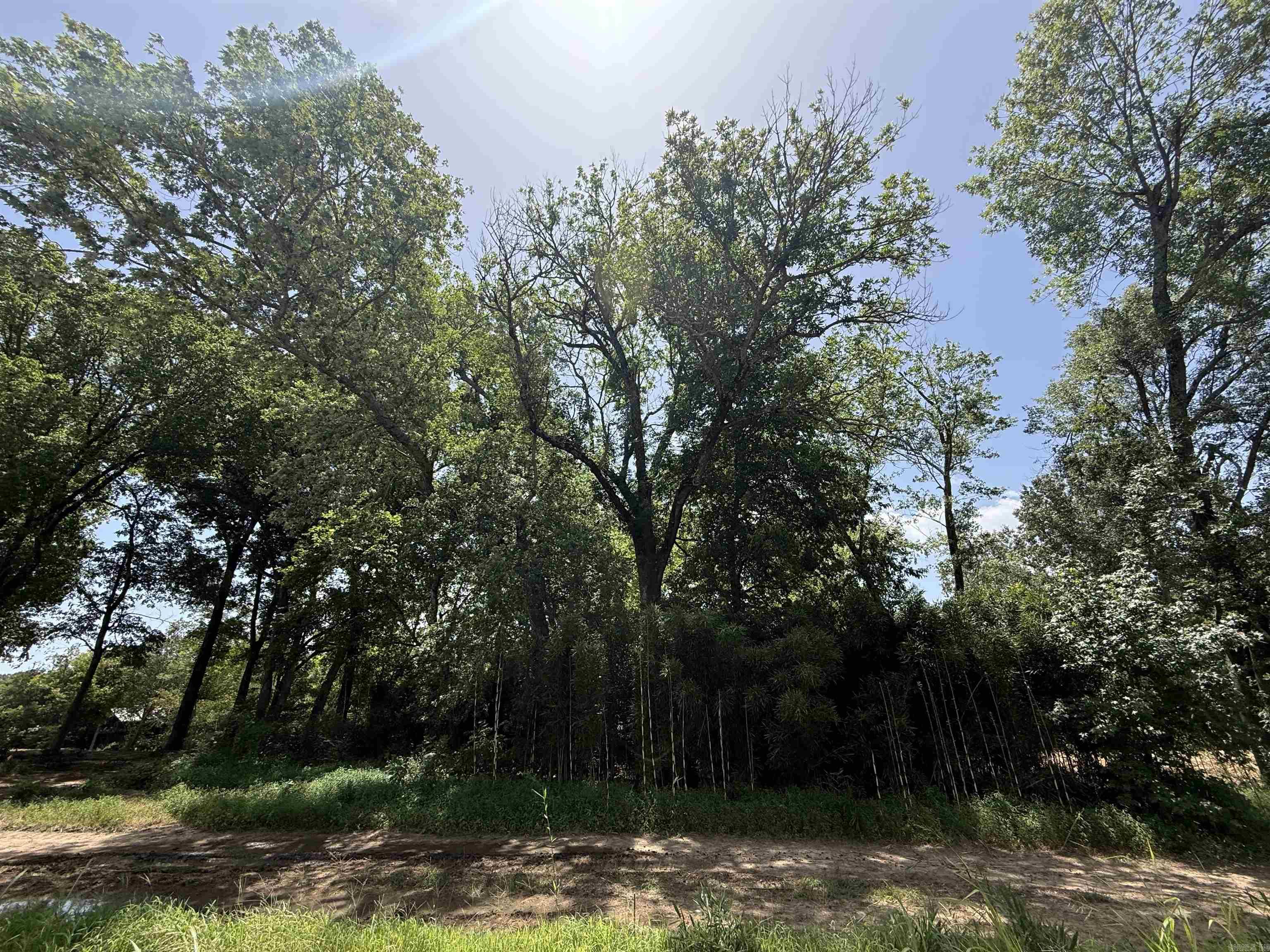 Lot 59 Down River Property Photo 4