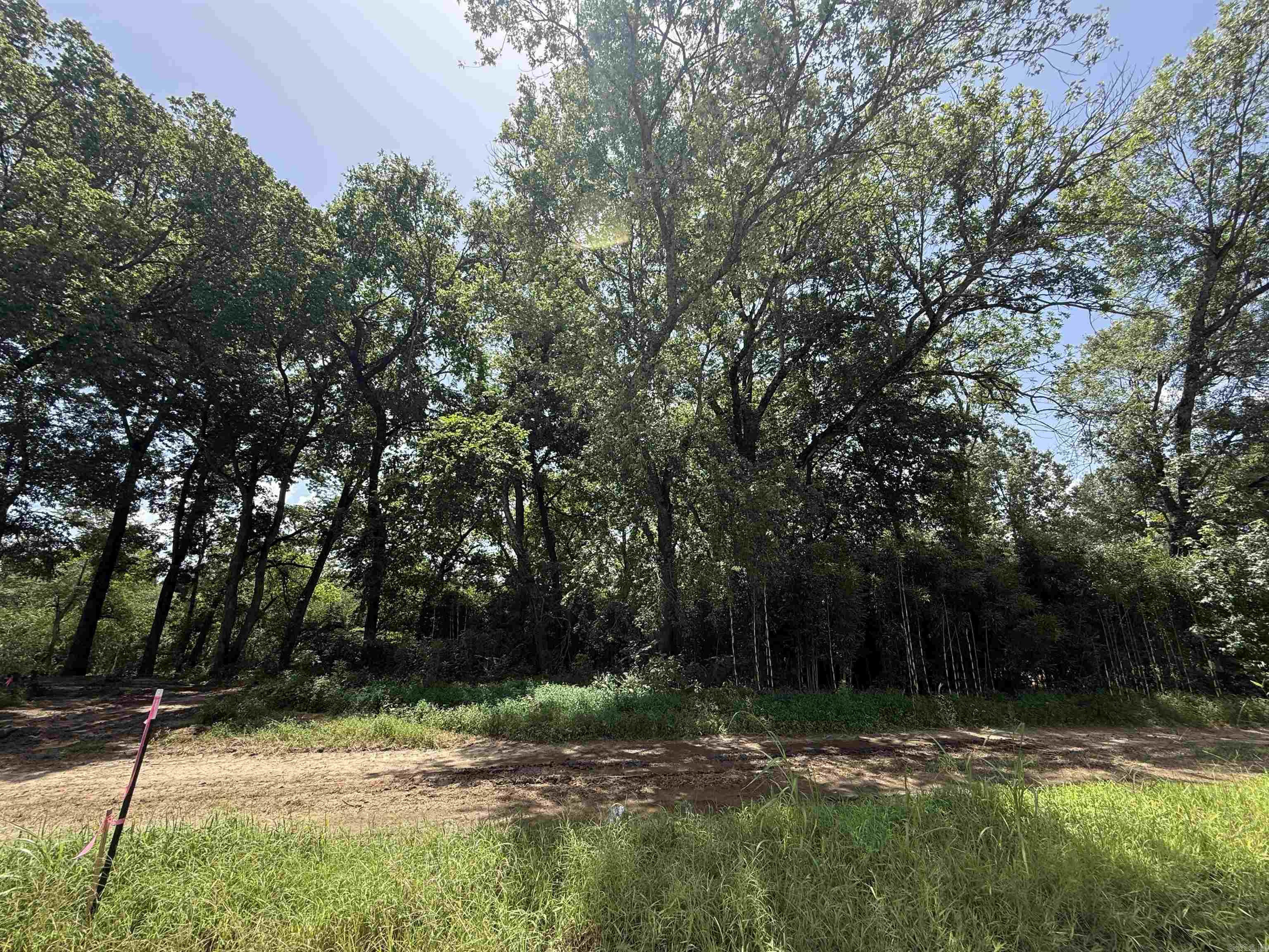 Lot 59 Down River Property Photo 5