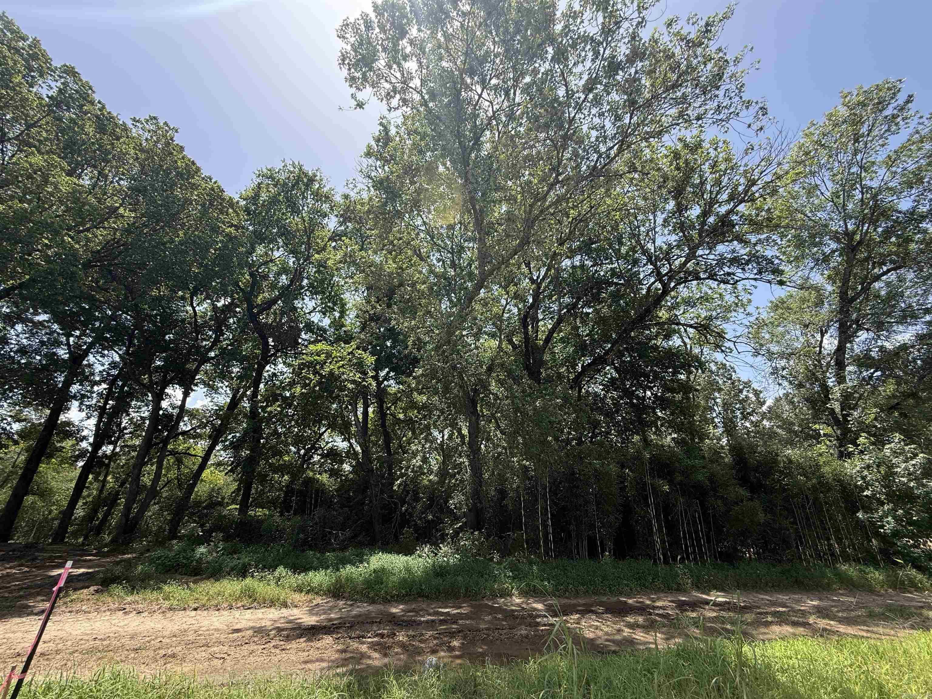 Lot 59 Down River Property Photo 6