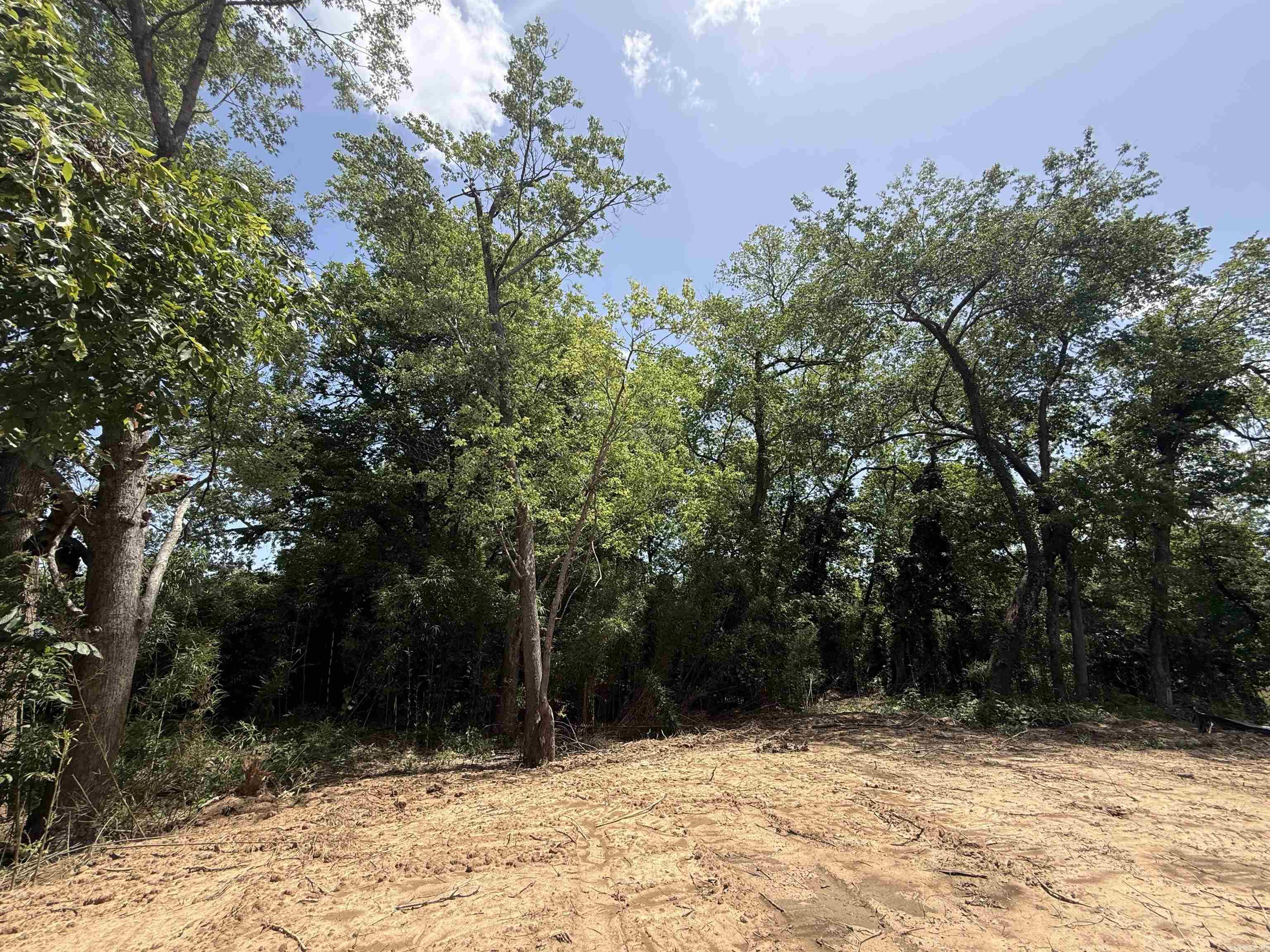 Lot 59 Down River Property Photo 7