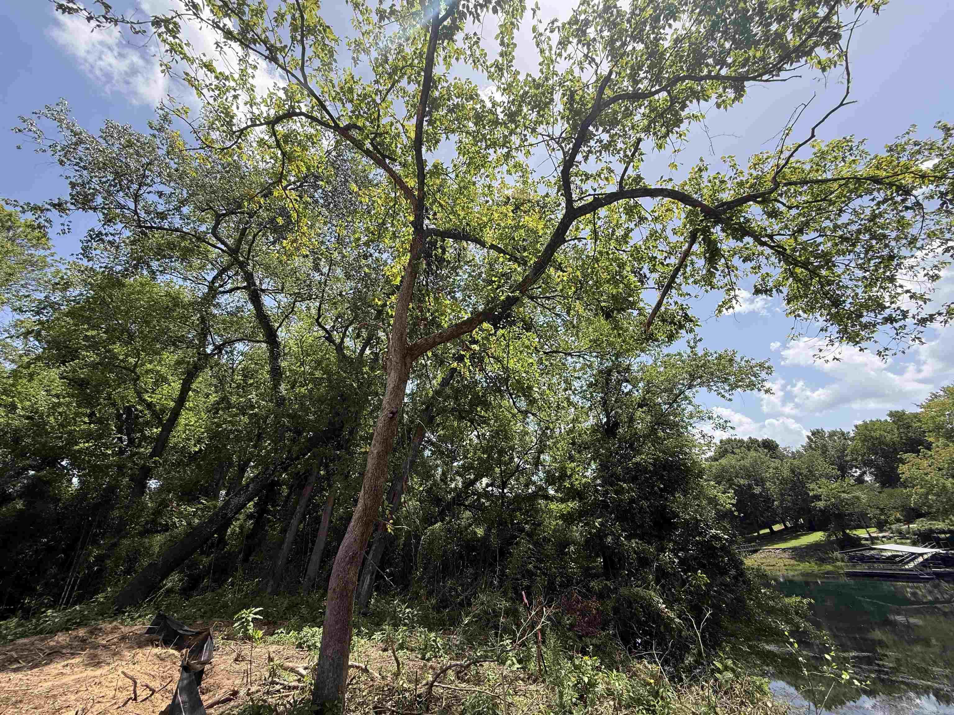 Lot 59 Down River Property Photo 8