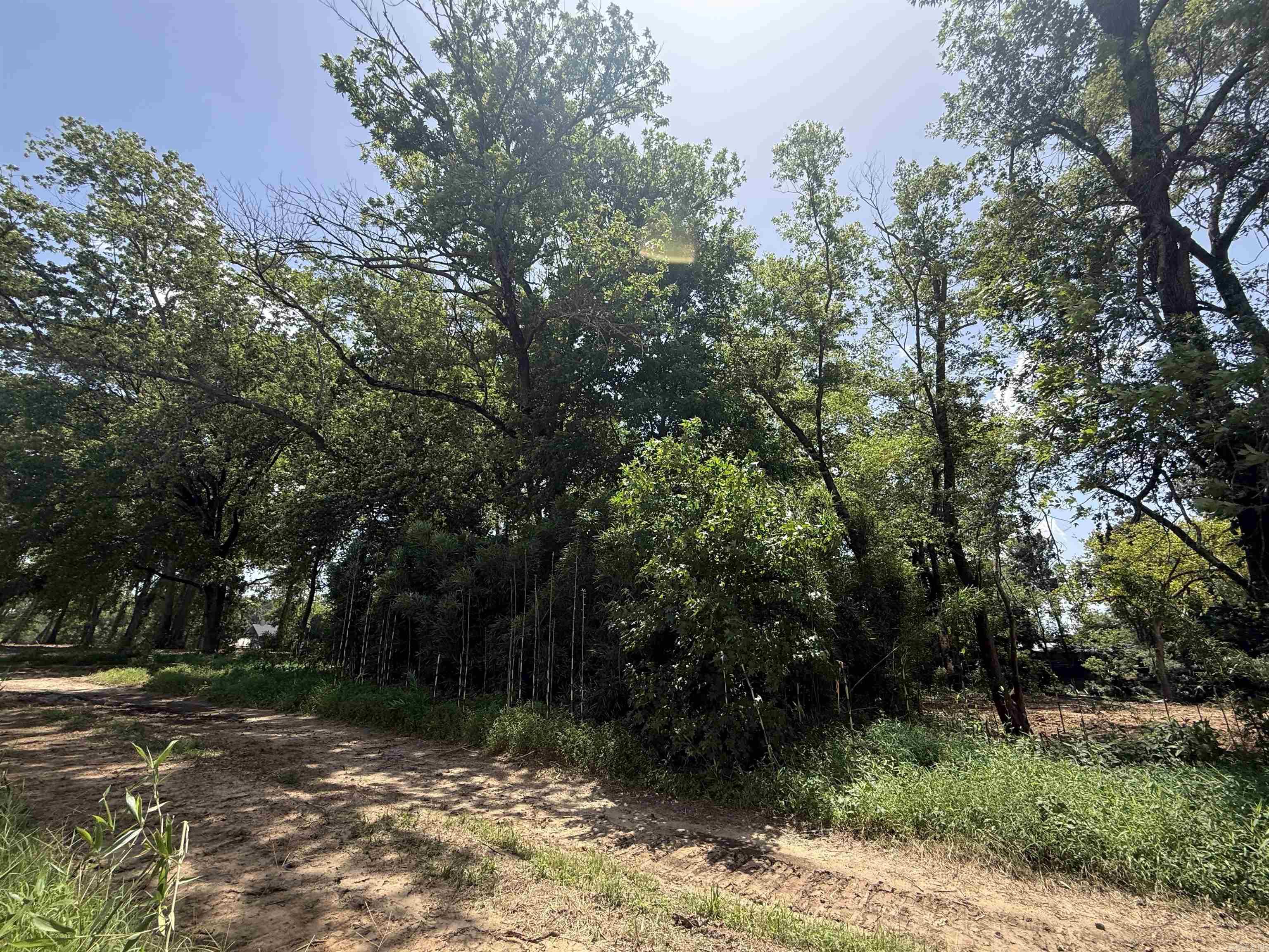 Lot 59 Down River Property Photo 9