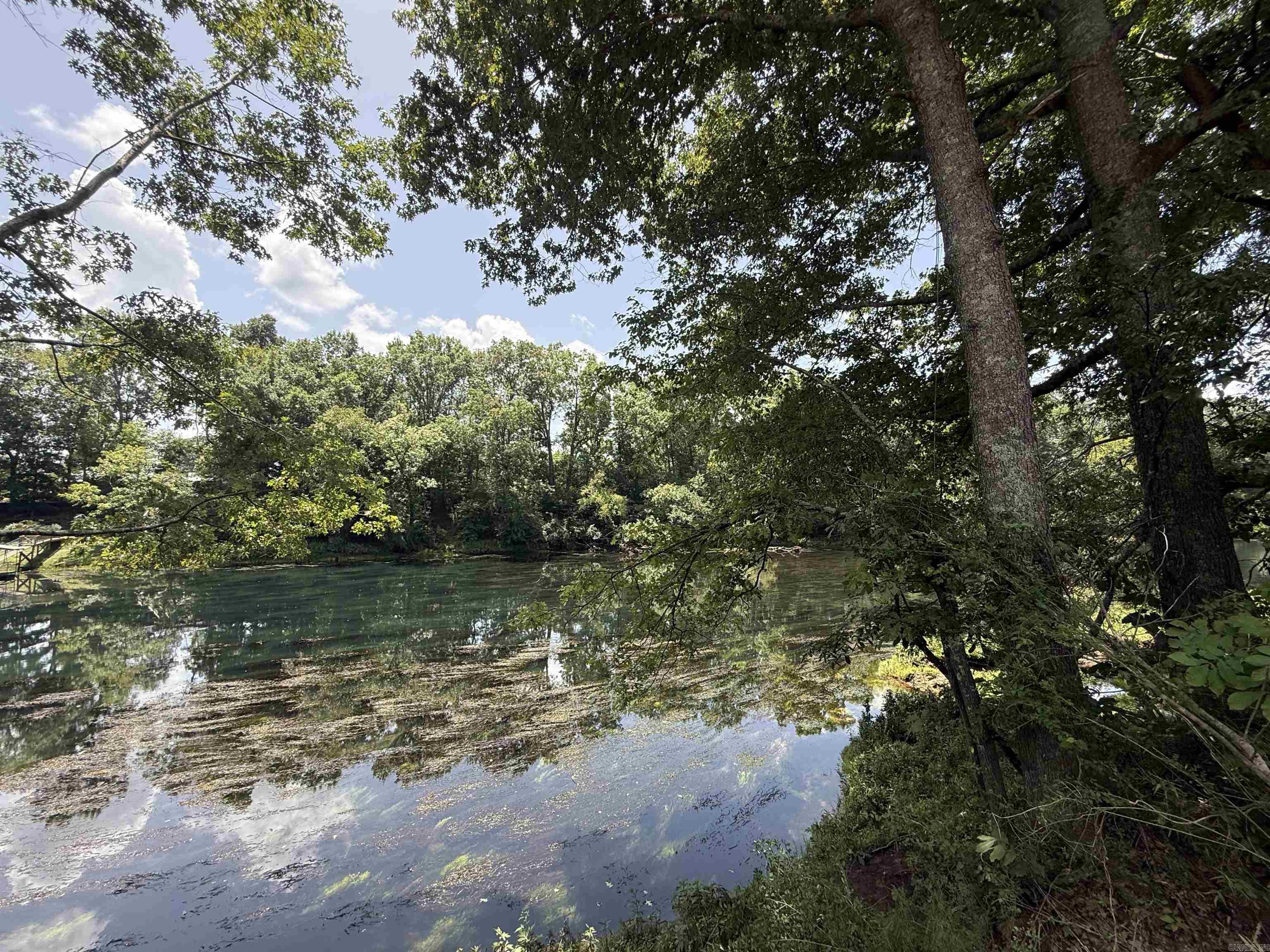 Lot 61 Down River Property Photo 1