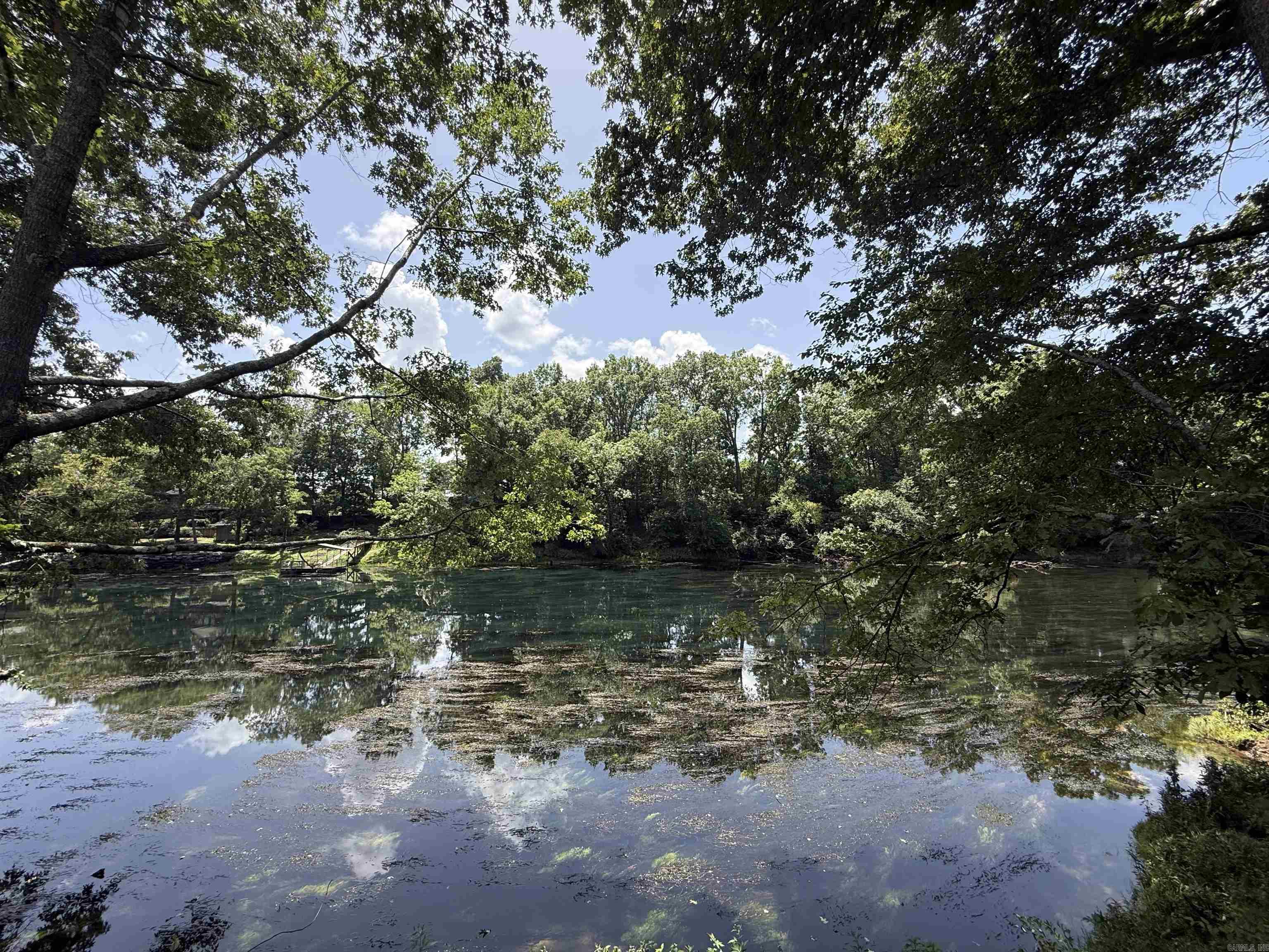 Lot 61 Down River Property Photo 2