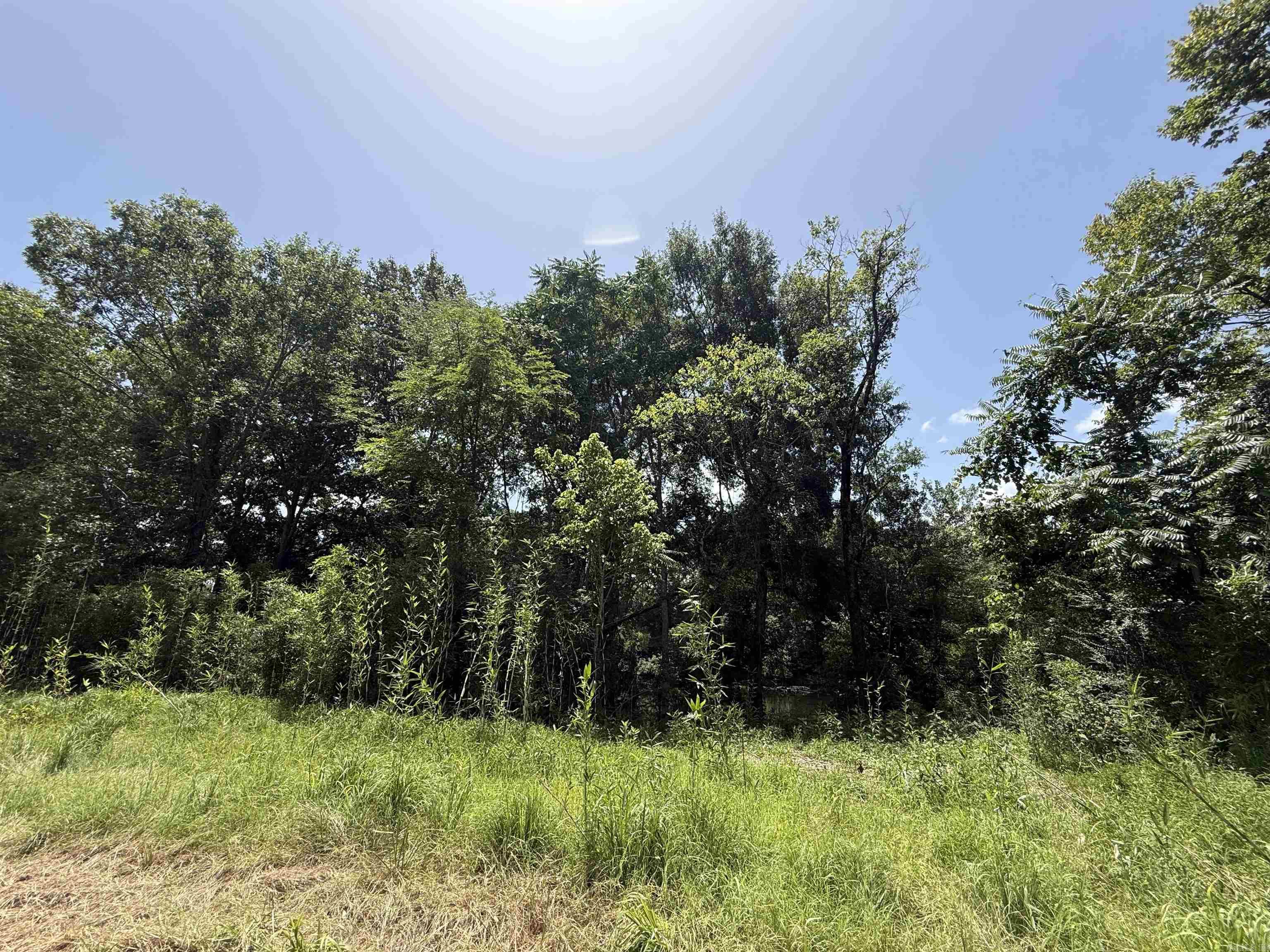 Lot 61 Down River Property Photo 3
