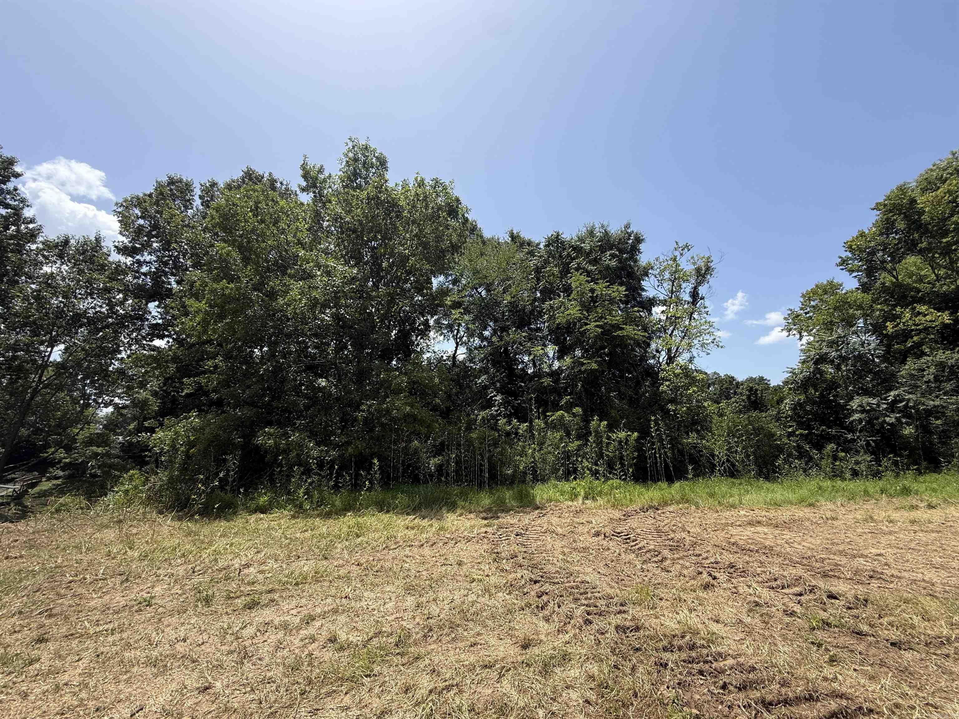 Lot 61 Down River Property Photo 5