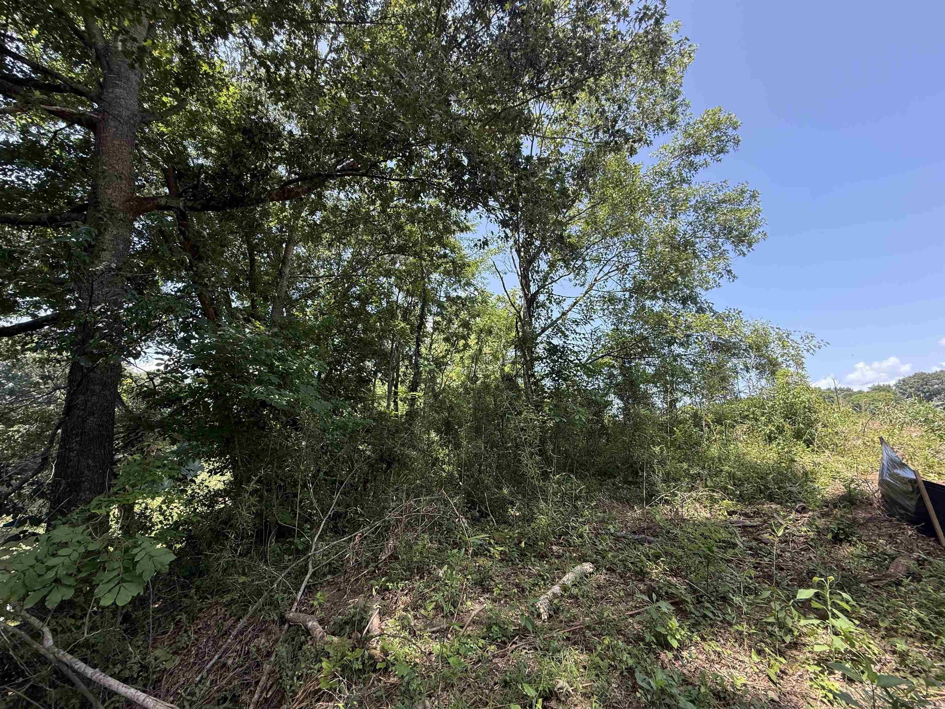 Lot 61 Down River Property Photo 6