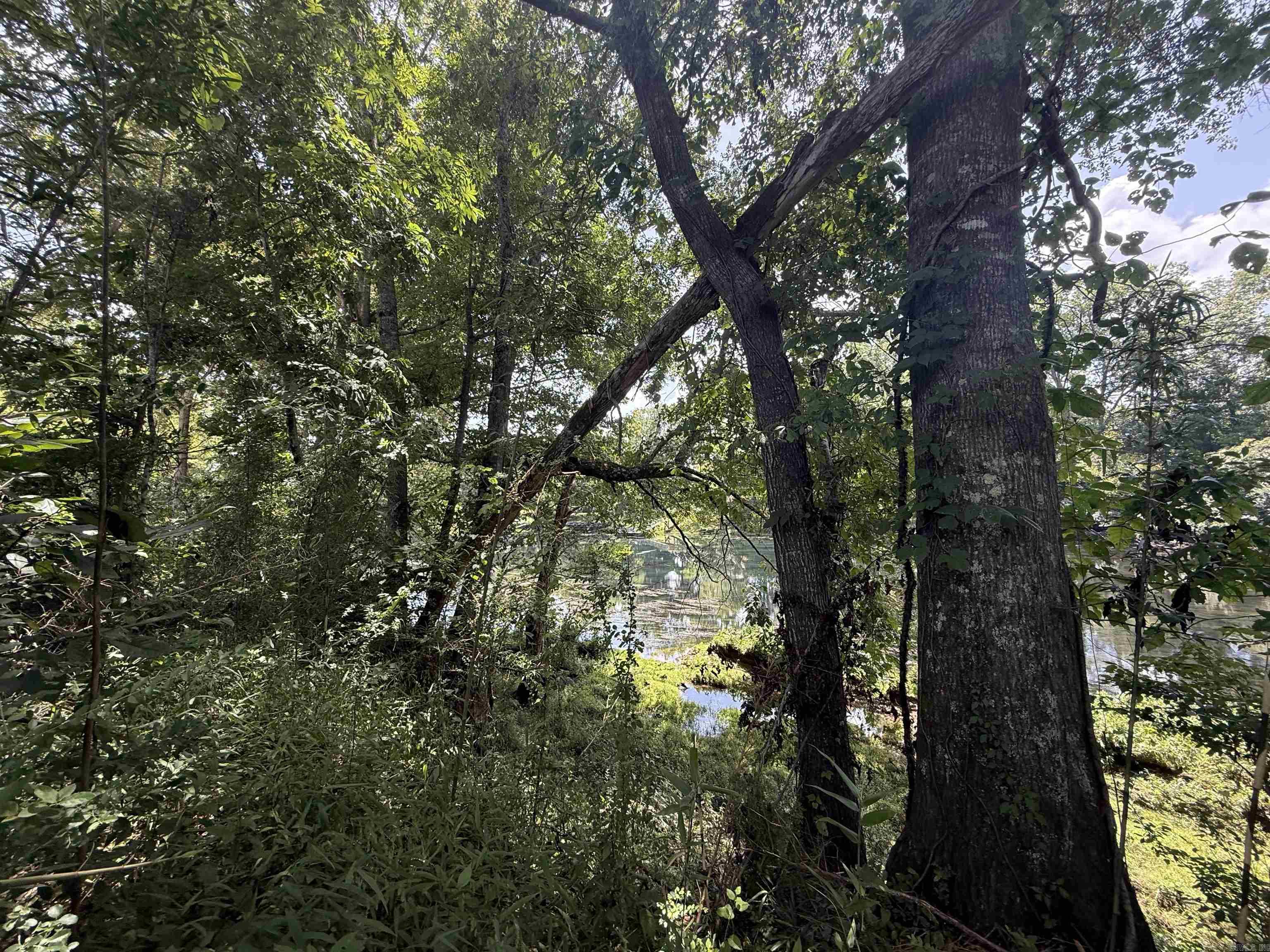 Lot 61 Down River Property Photo 7