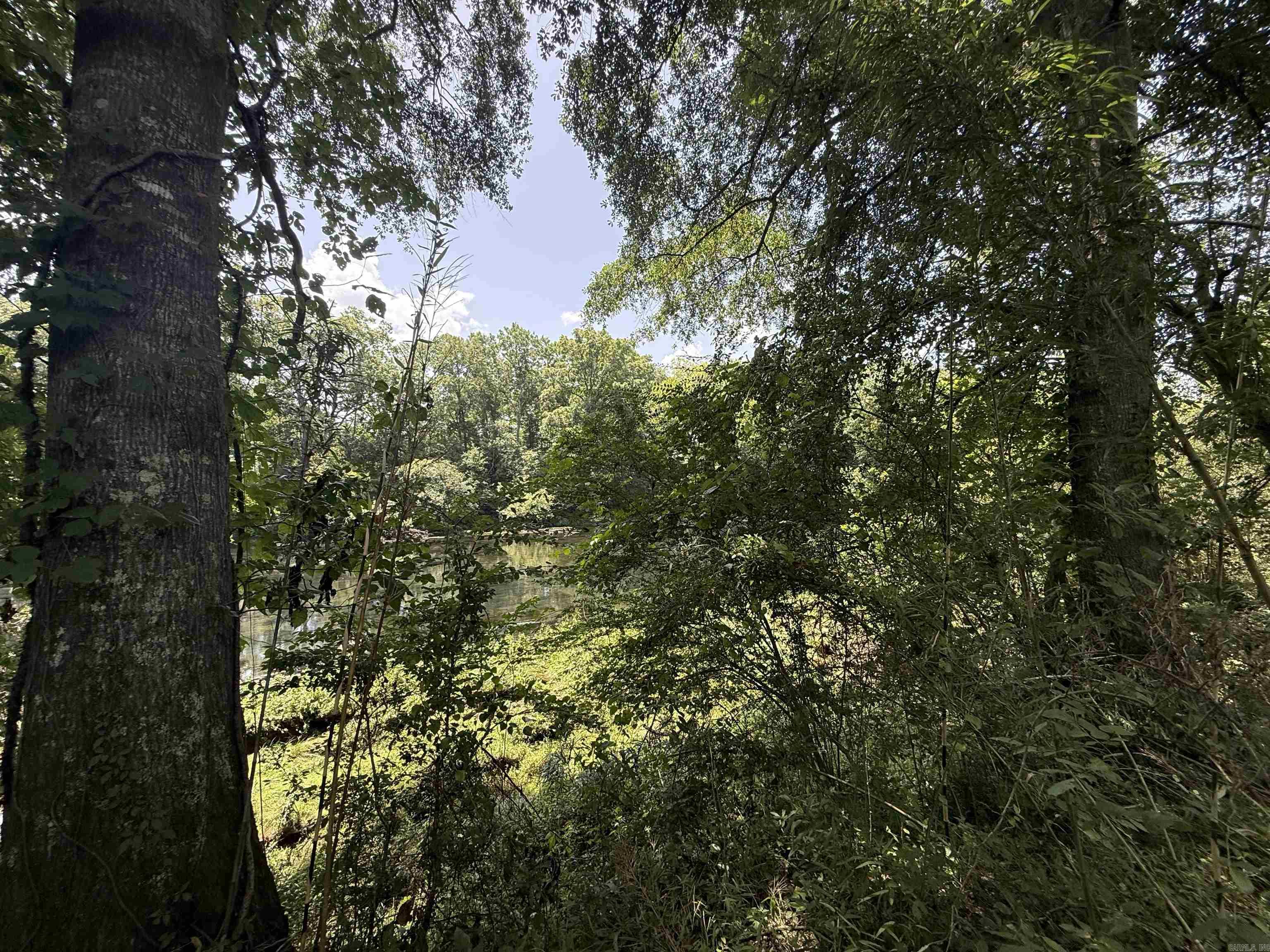 Lot 61 Down River Property Photo 8