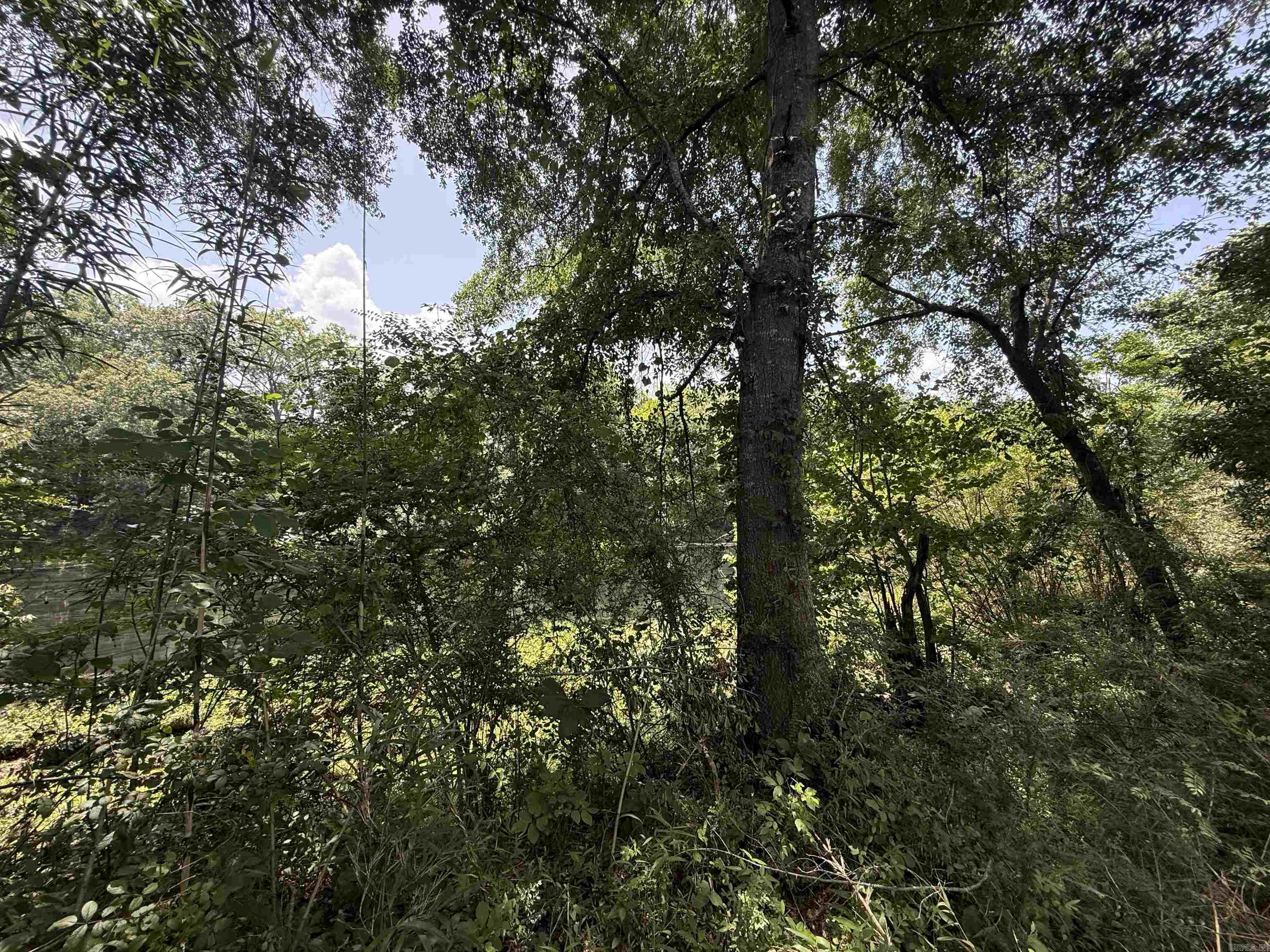 Lot 62 Down River Property Photo 1